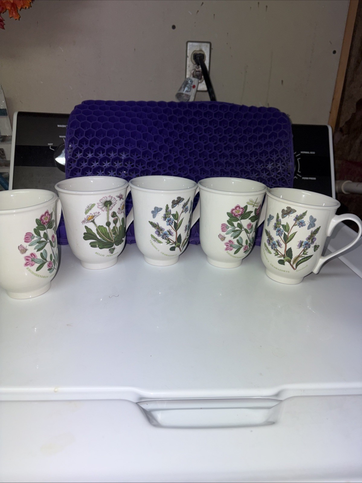 portmeirion botanic garden Mugs (5)