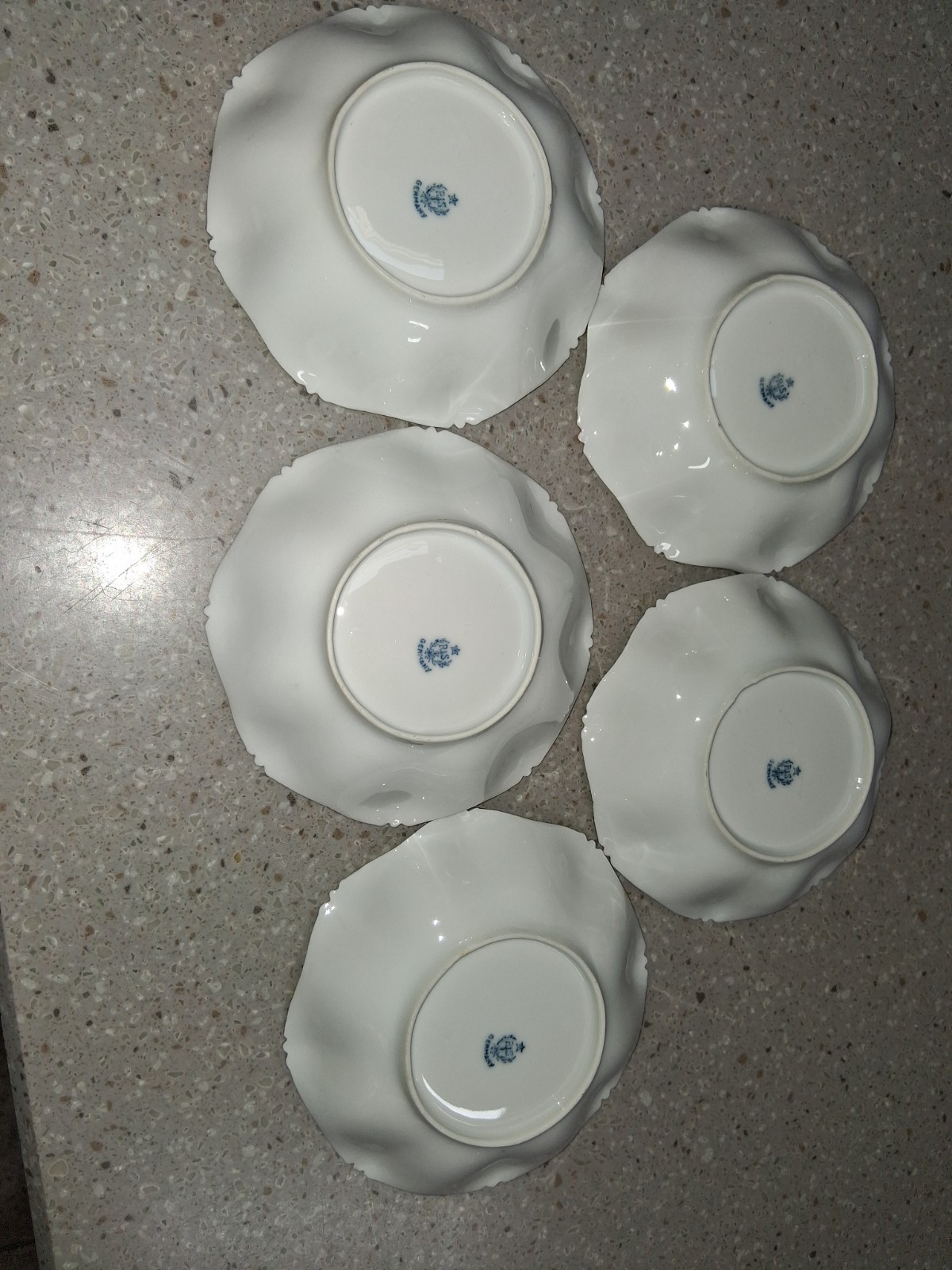 RS PRUSSIA GERMANY ANTIQUE BERRY SET (DOGWOOD PATTERN) Gorgeous patina