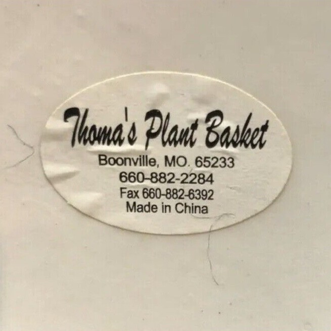 Thoma’s Plant Basket Very Large Embossed Floral Teapot Hand Painted 13 Cup 104oz