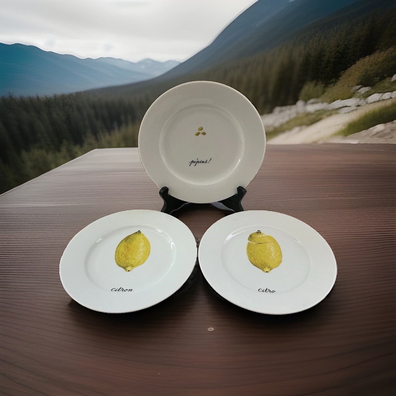 LIMOGES Porcelaine de Sologne Lemon Citron Canapé Set Of 3 Plates 7.25″