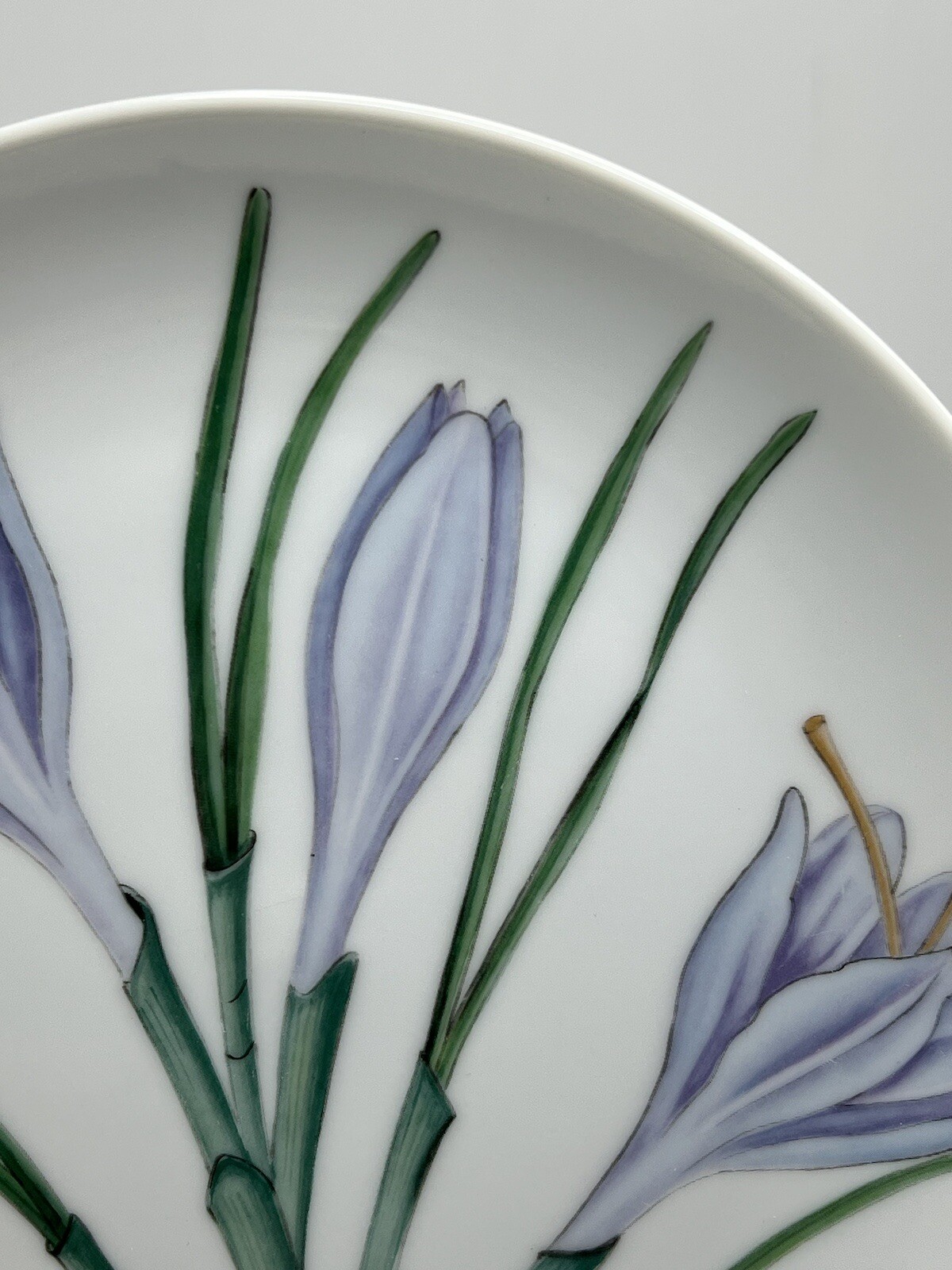 Horchow Botanical Herb Seed Salad Plate Saffron Has Chip See Picture!