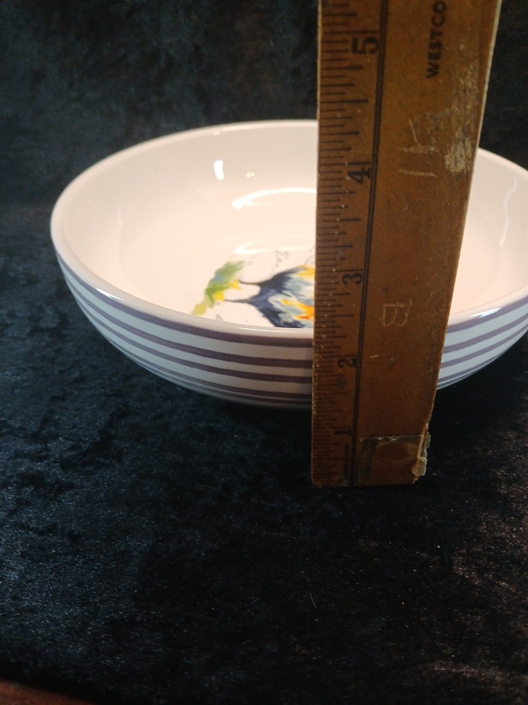 Pier 1 Imports Bowl 8 Inches Diameter County Roster
