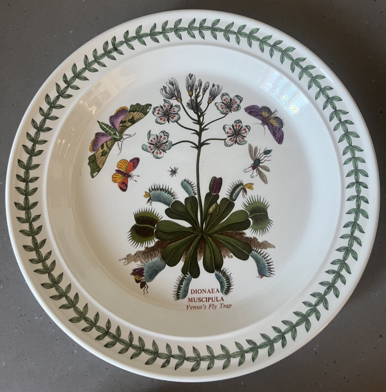 UNUSED 1990 Portmeirion Botanic Garden Dinner Salad Bread Plate Bowl CHOICE