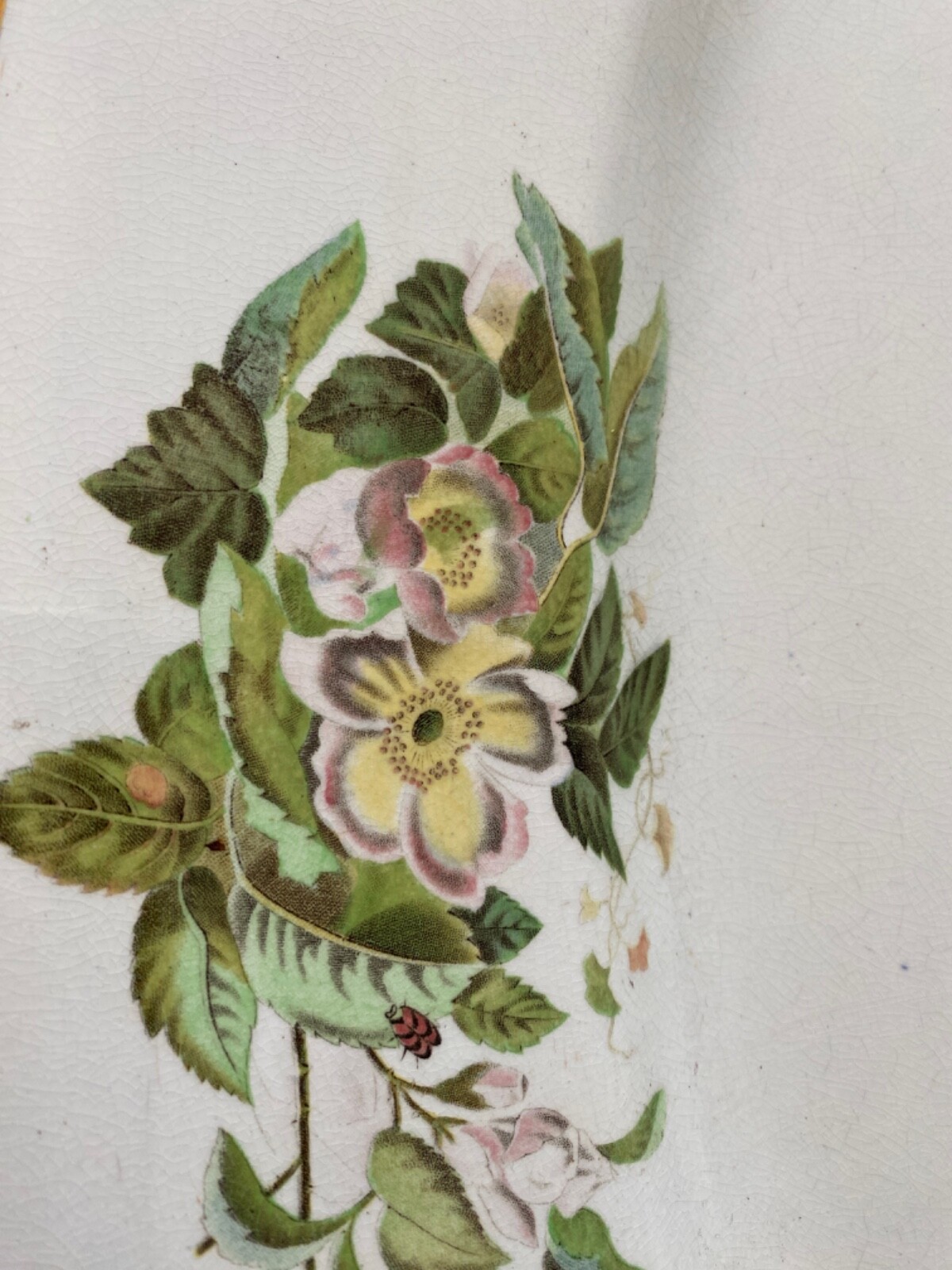 1880’s Aesthetic Movement Very Large Platter White with Florals, Insects Designs