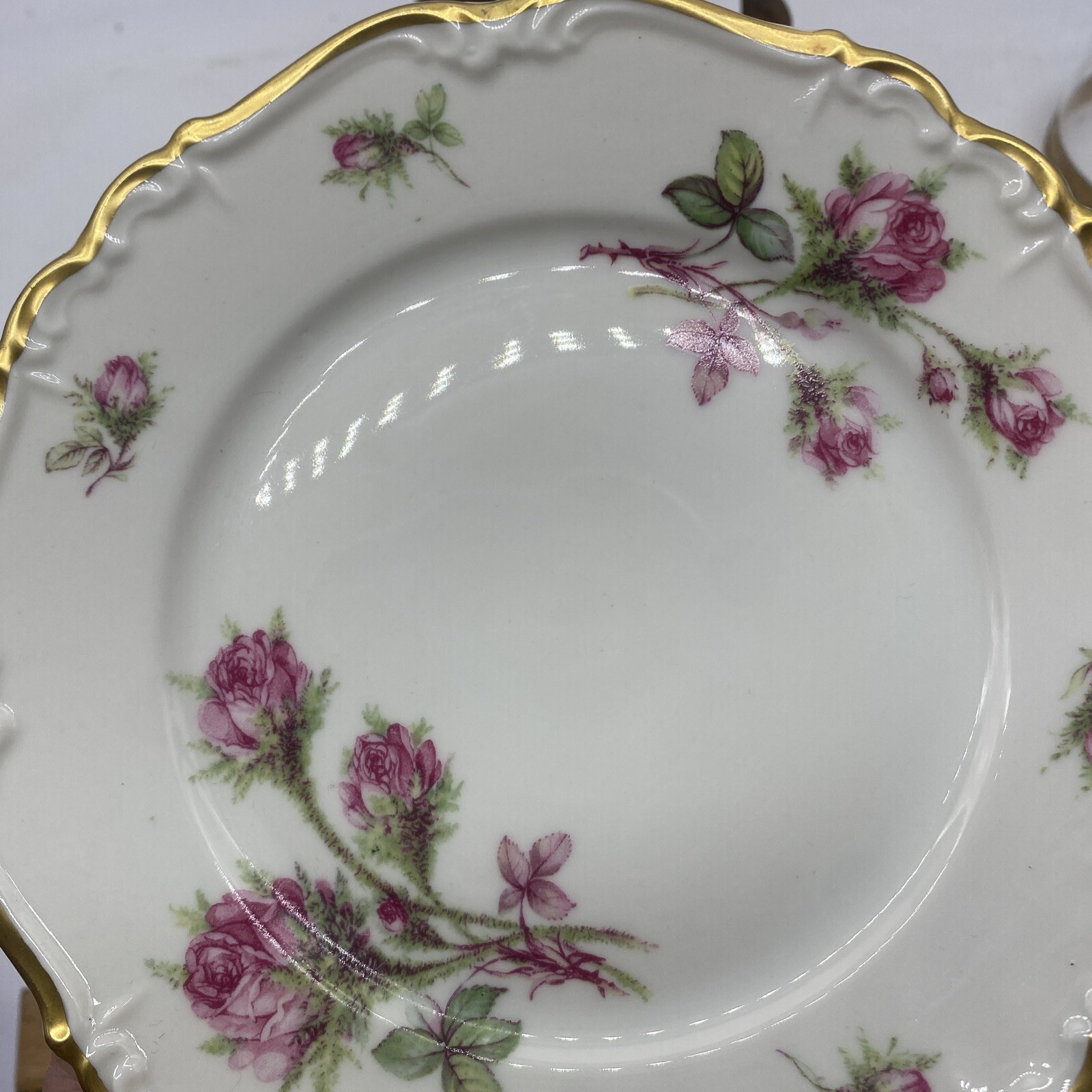 EDELSTEIN MOSS ROSE LOT OF 2 BREAD PLATES EXCELLENT 6 In