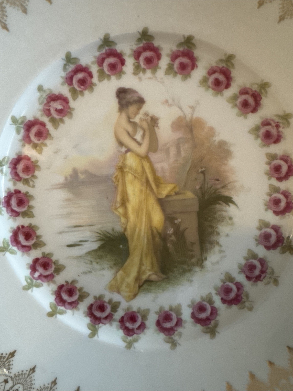 rosenthal porcelain Decorative Dinner Plates