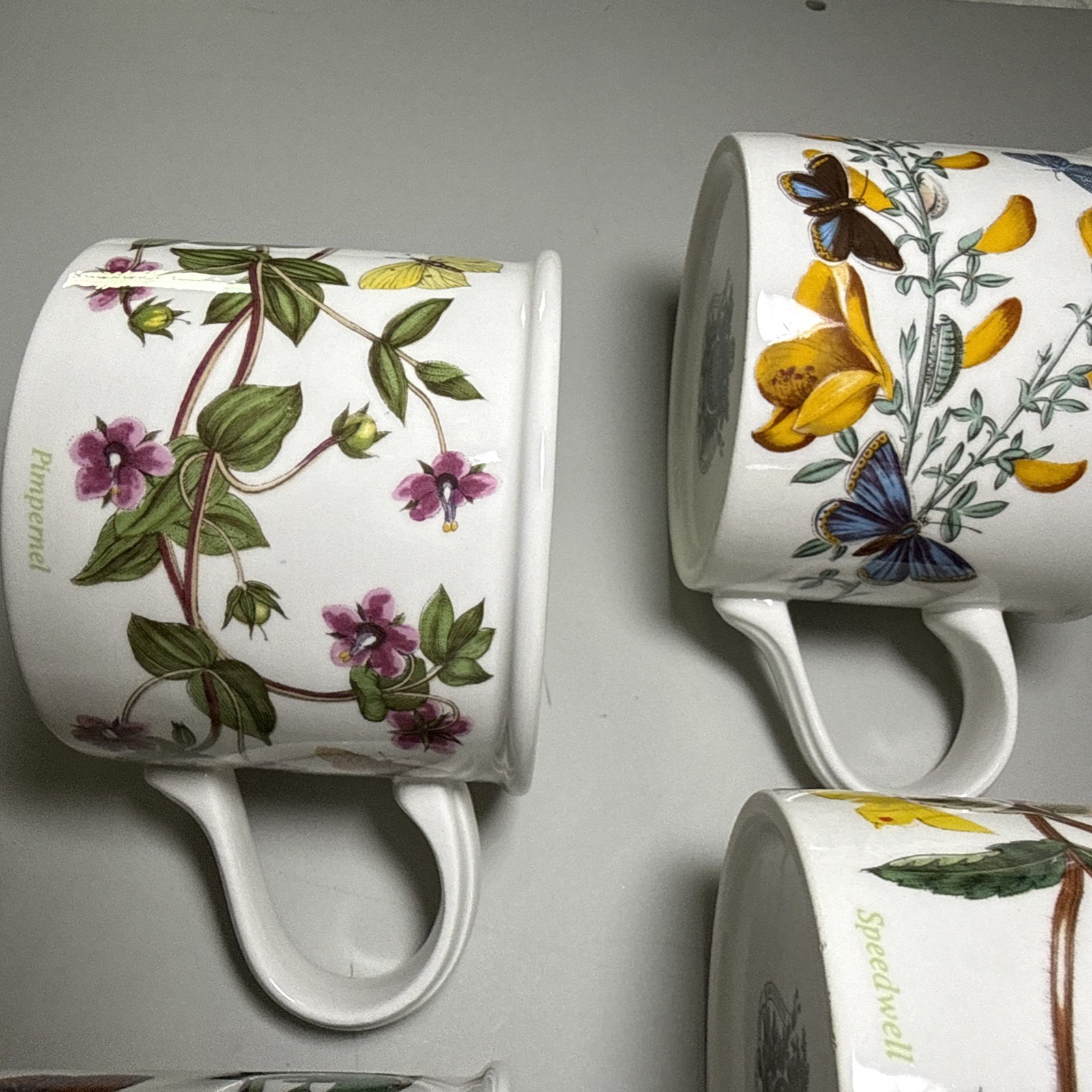 Portmeirion Botanic Garden Set of 6 Flat Cups & Saucers Made in England Assorted