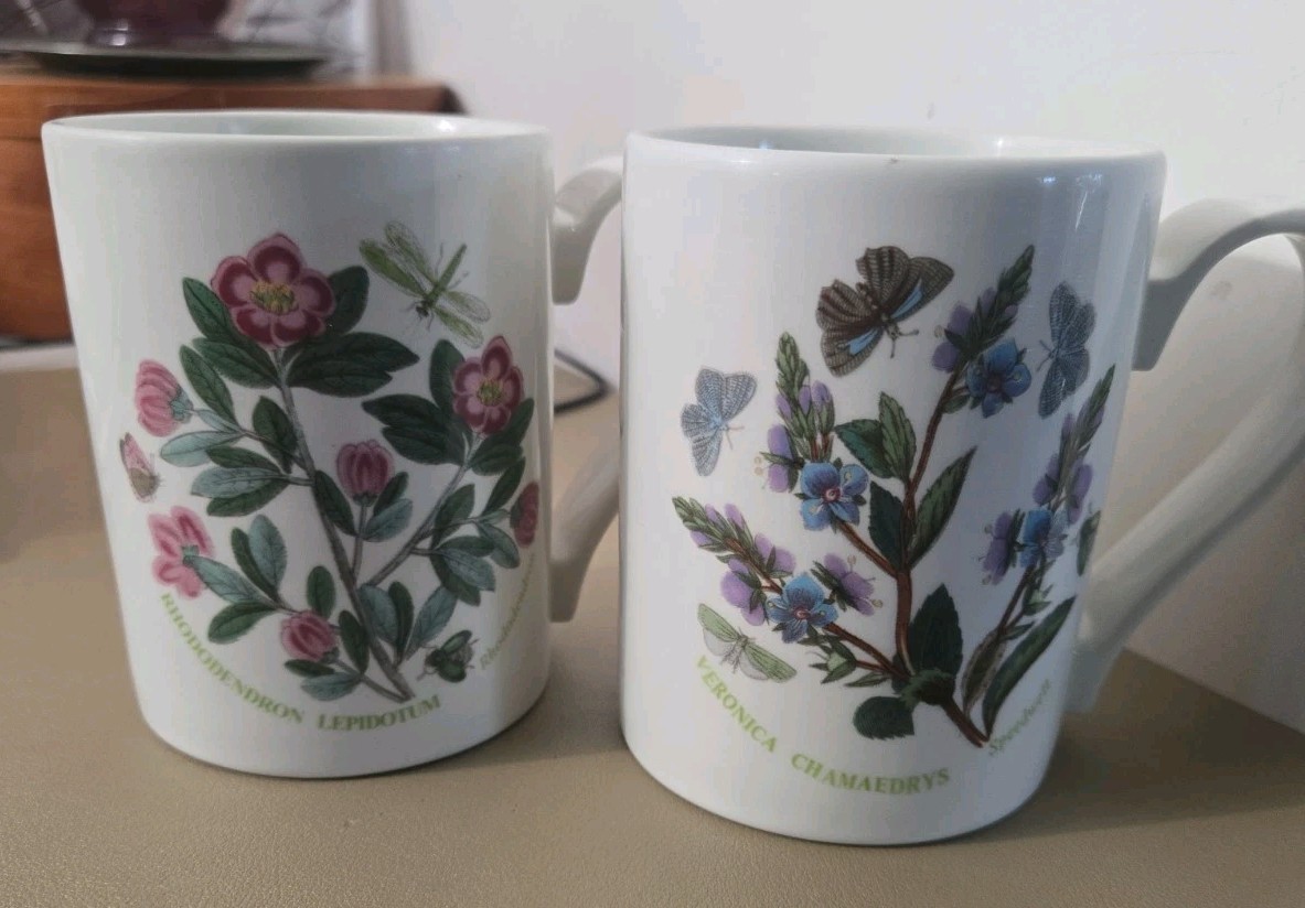 VTG Portmeirion Botanic Garden Drum Mugs (2) Rhododendron & Veronica Speedwell