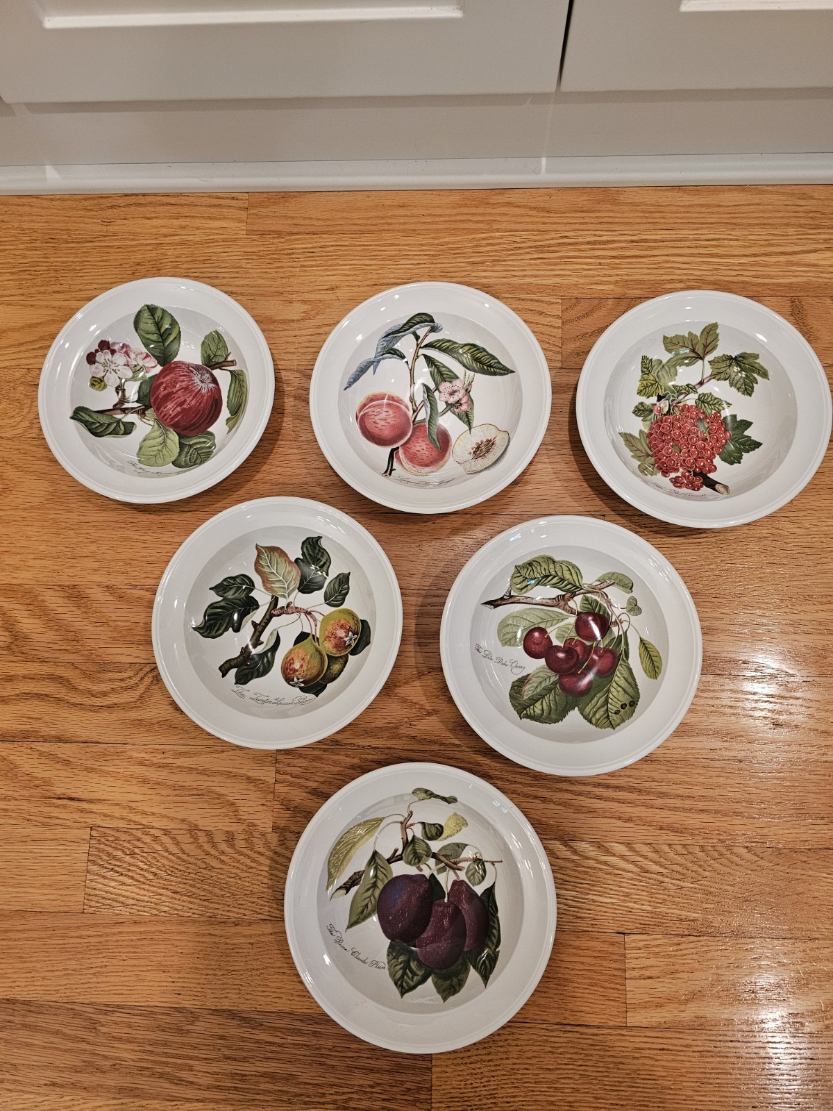 Portmeirion Pomona No Border Fruit 6.75″ Cereal Fruit Bowls Set Of 6 EUC Retired