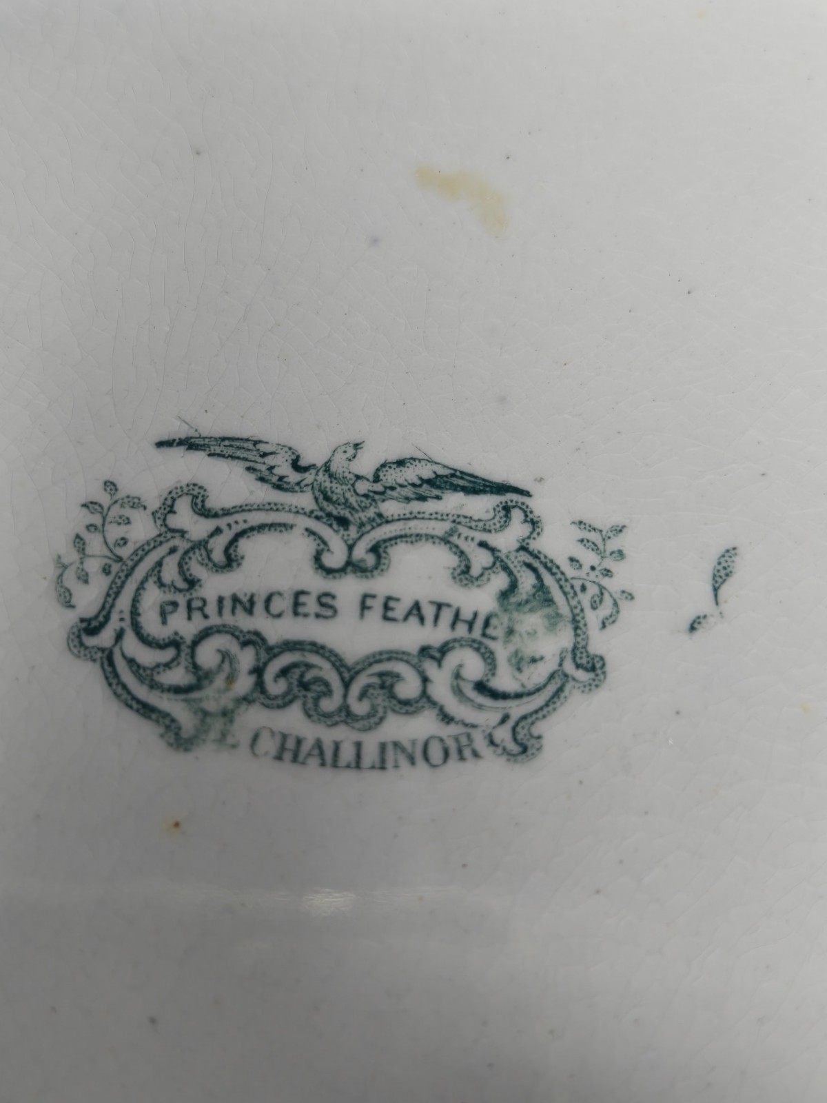 E. Challinor Princes Feather Plate 8 1/2″ C. 1842-72