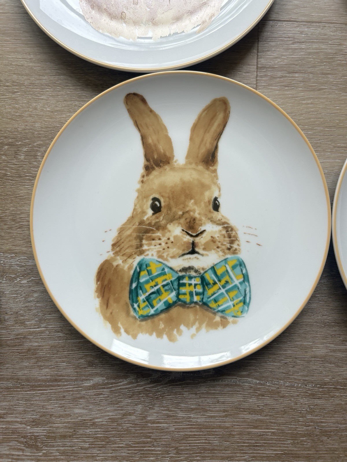 Four Bunny Plates Easter Spring Eight Inches Each Brand New