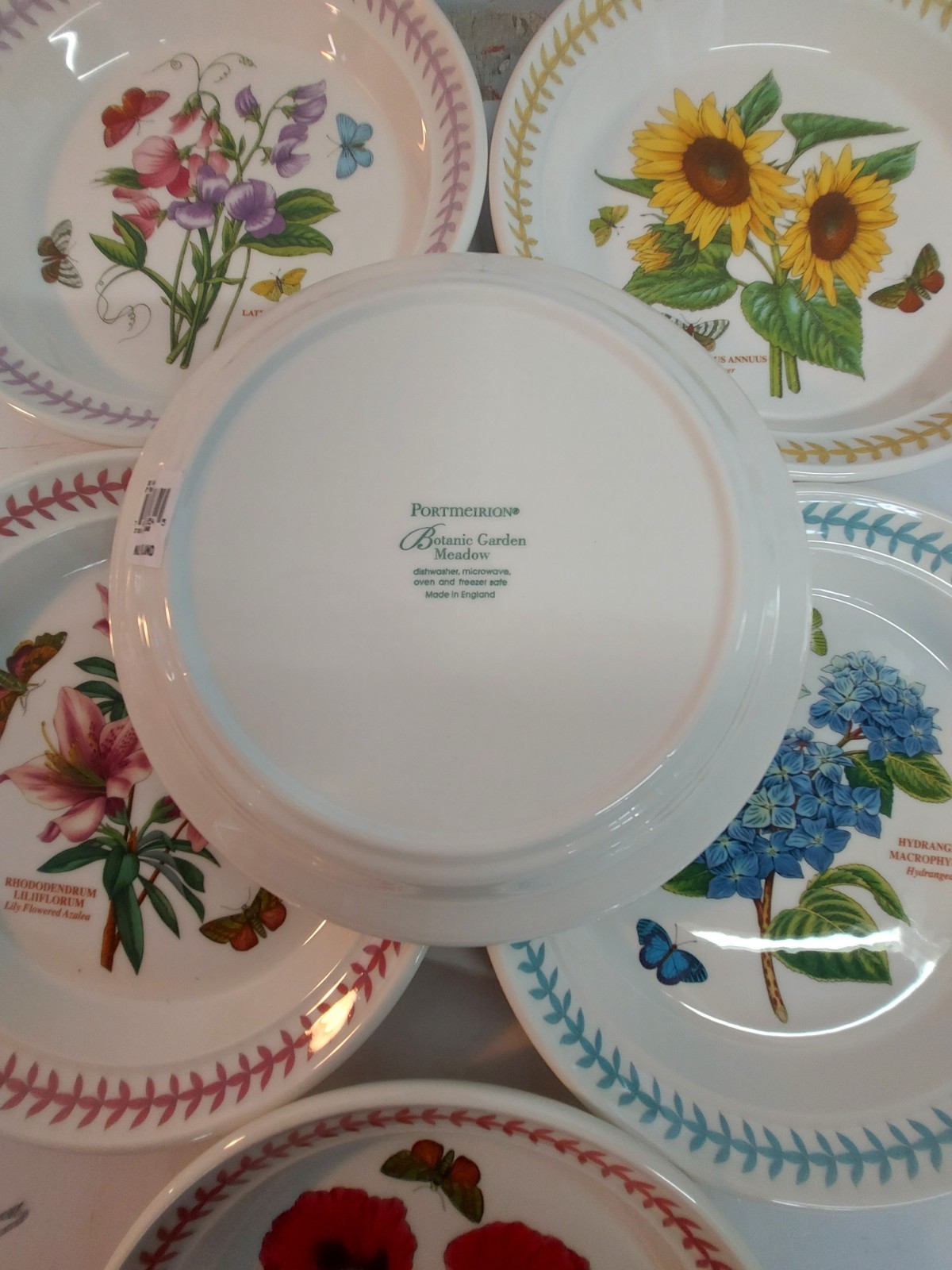 Portmeirion botanic garden MEADOW set of 6 assorted Salad plates—–9902—-