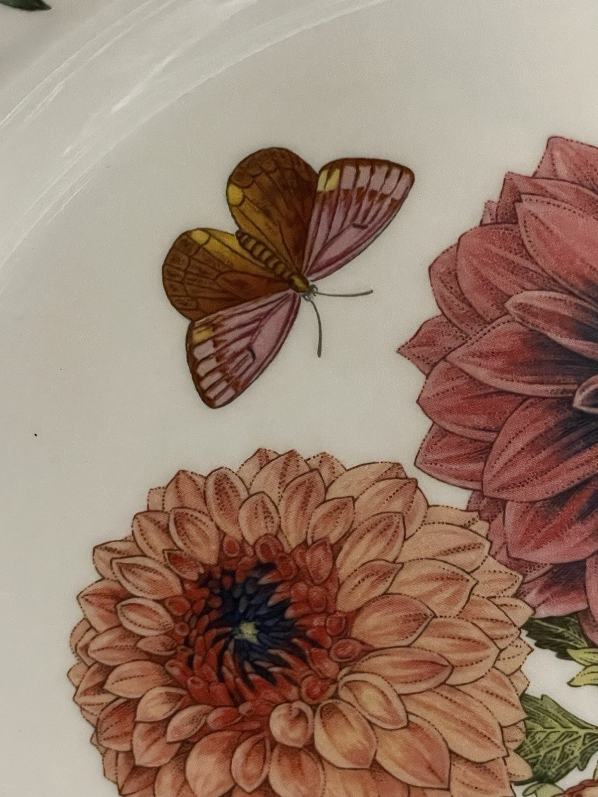 PORTMEIRION BOTANIC GARDEN FINE EARTHENWARE “DAHLIA “ DINNER PLATE 10,5”