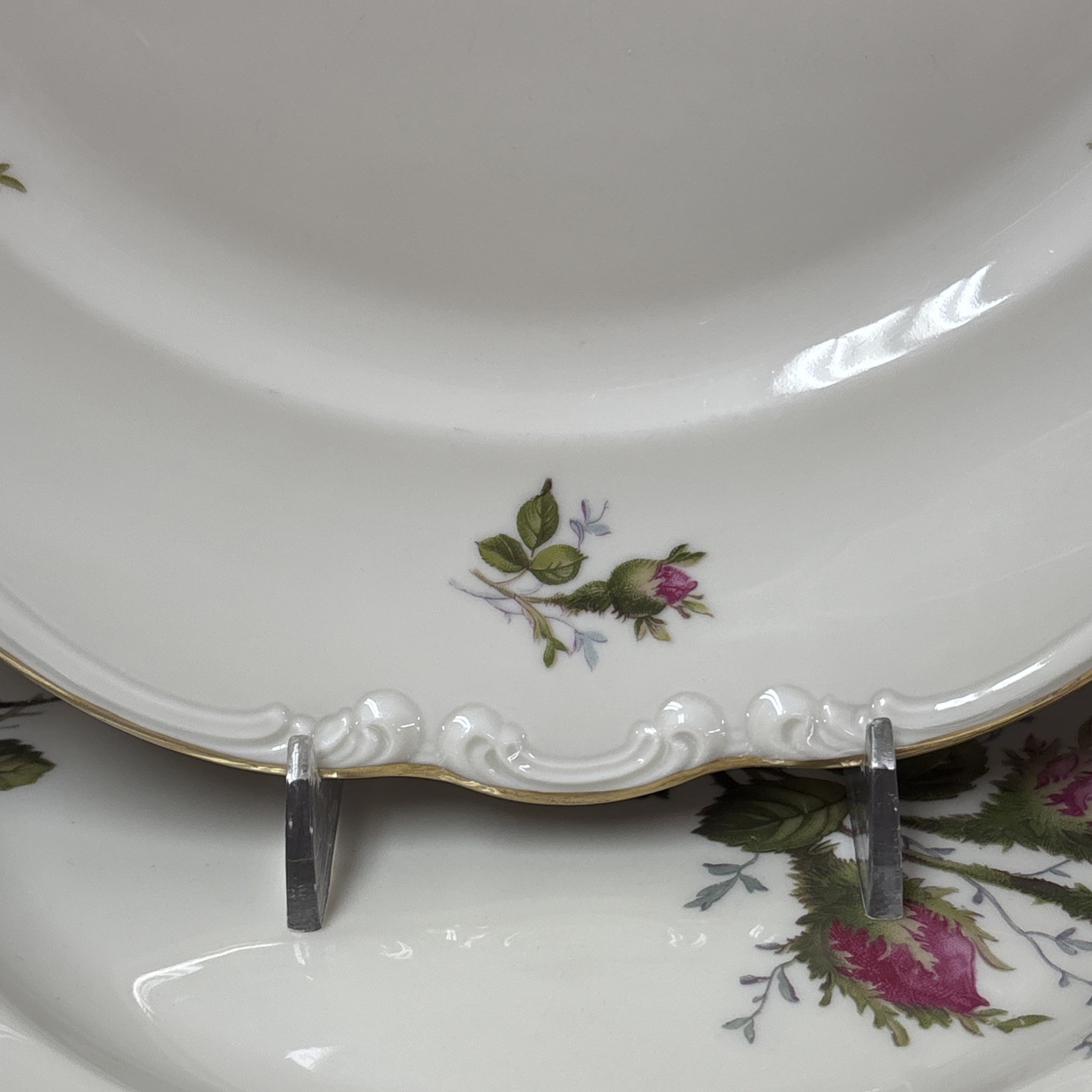 Rosenthal Continental MOSS ROSE POMPADOUR (Ivory) Dinner Plate 10 1/8 Inches
