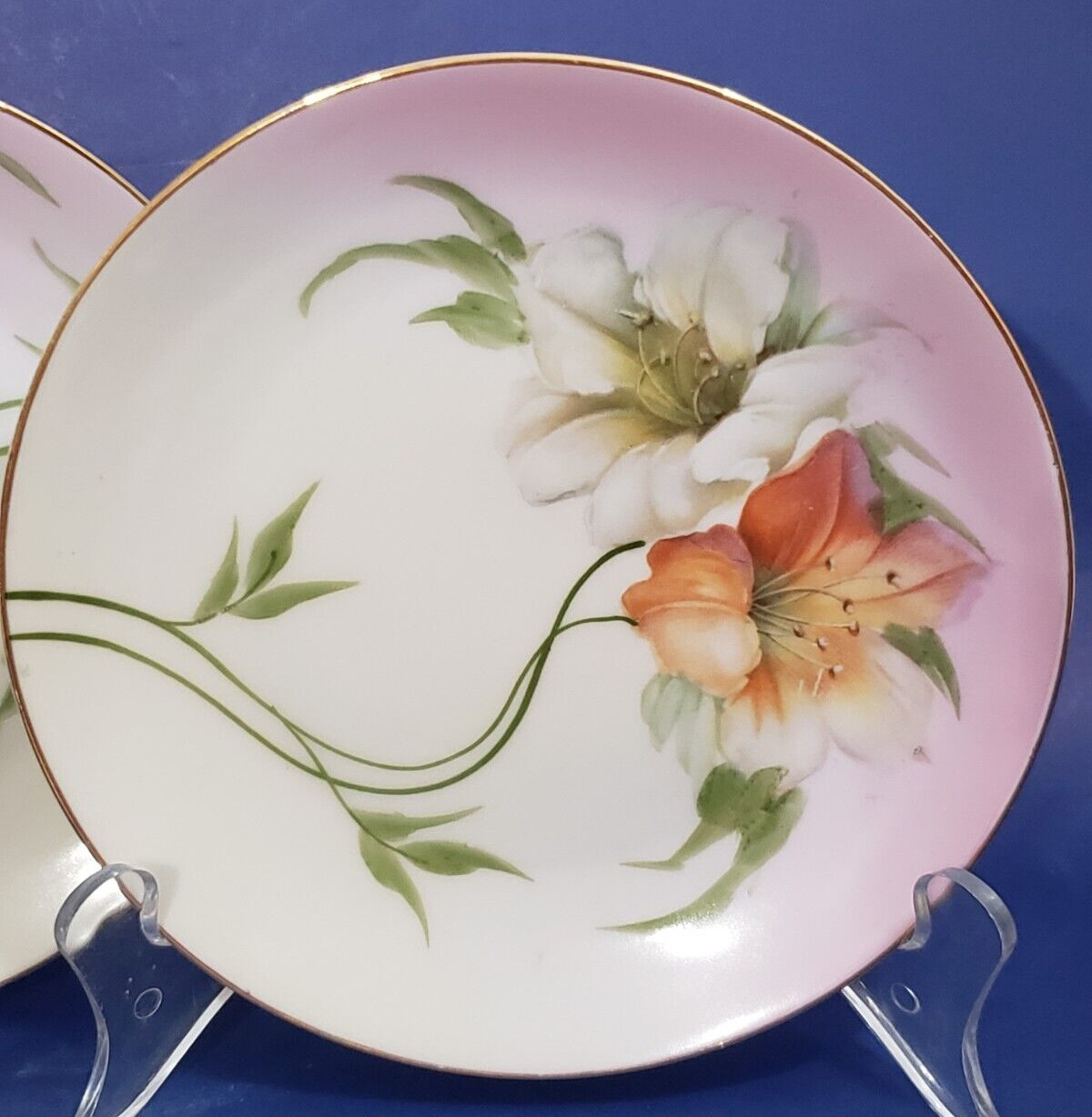Two Antique Vintage Bavarian Plates Z.S. & Co Hand Painted Porcelain 1880- 1918