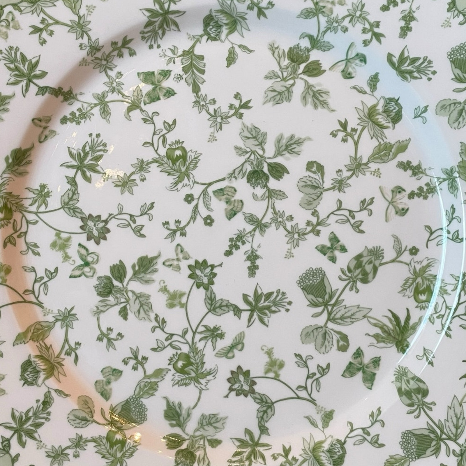Grace Teaware Porcelain Dinner Plates 10.5″ Green & White Floral Set of 4 New