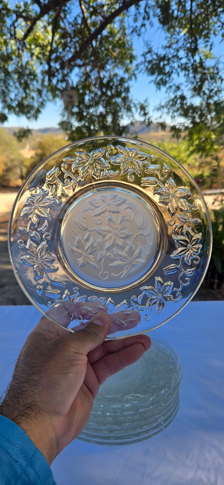 Set of 8x Princess House Fantasia Frosted Glass Crystal 8″ Dessert Salad Plates
