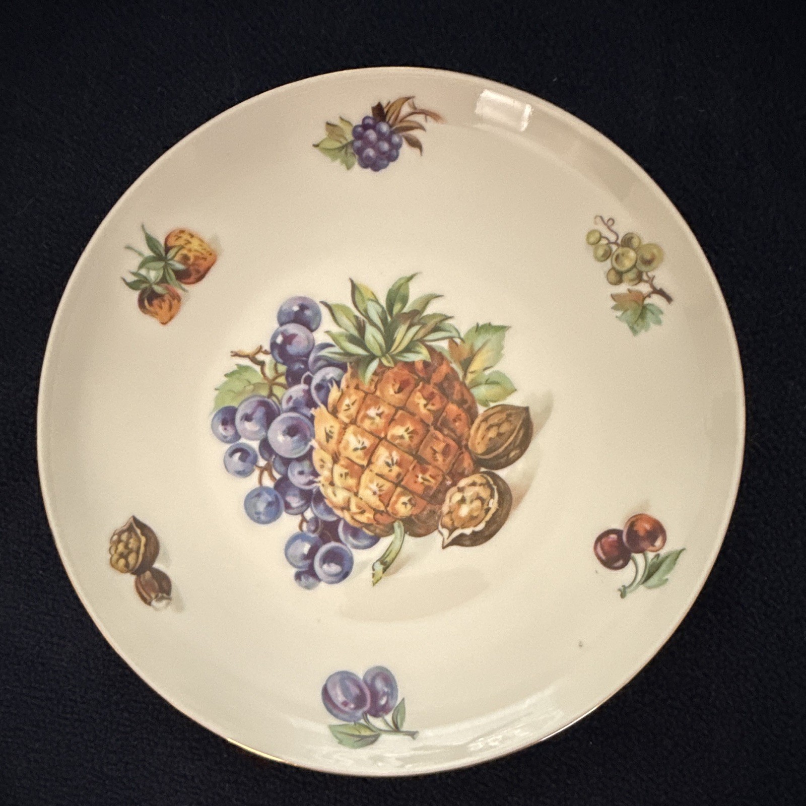 Tuscport Fine China Fruit Pattern Dinner Plates Set of 4, Round, Czechoslovakia