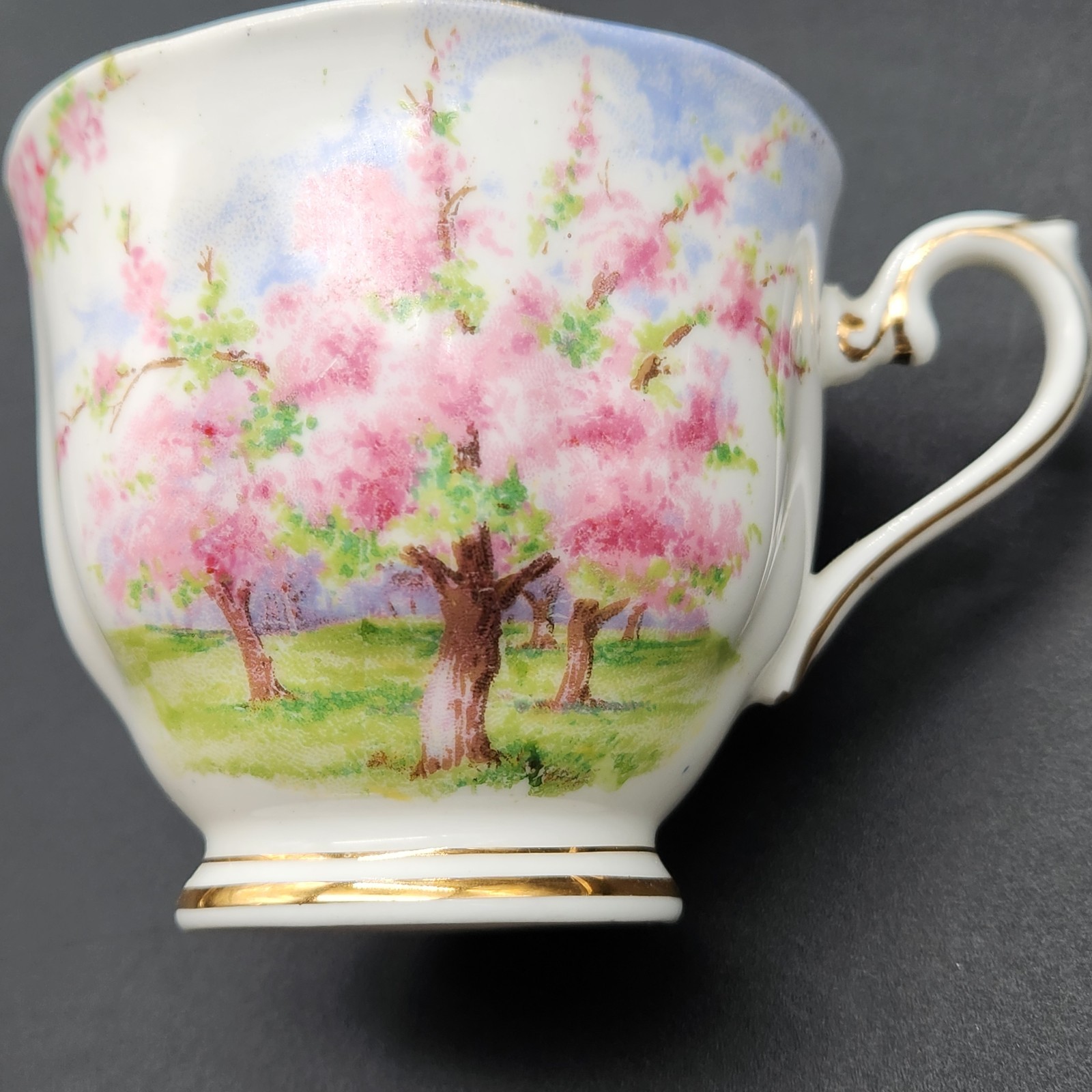 Vintage Royal Albert Blossom Time Teacup and Saucer Bone China