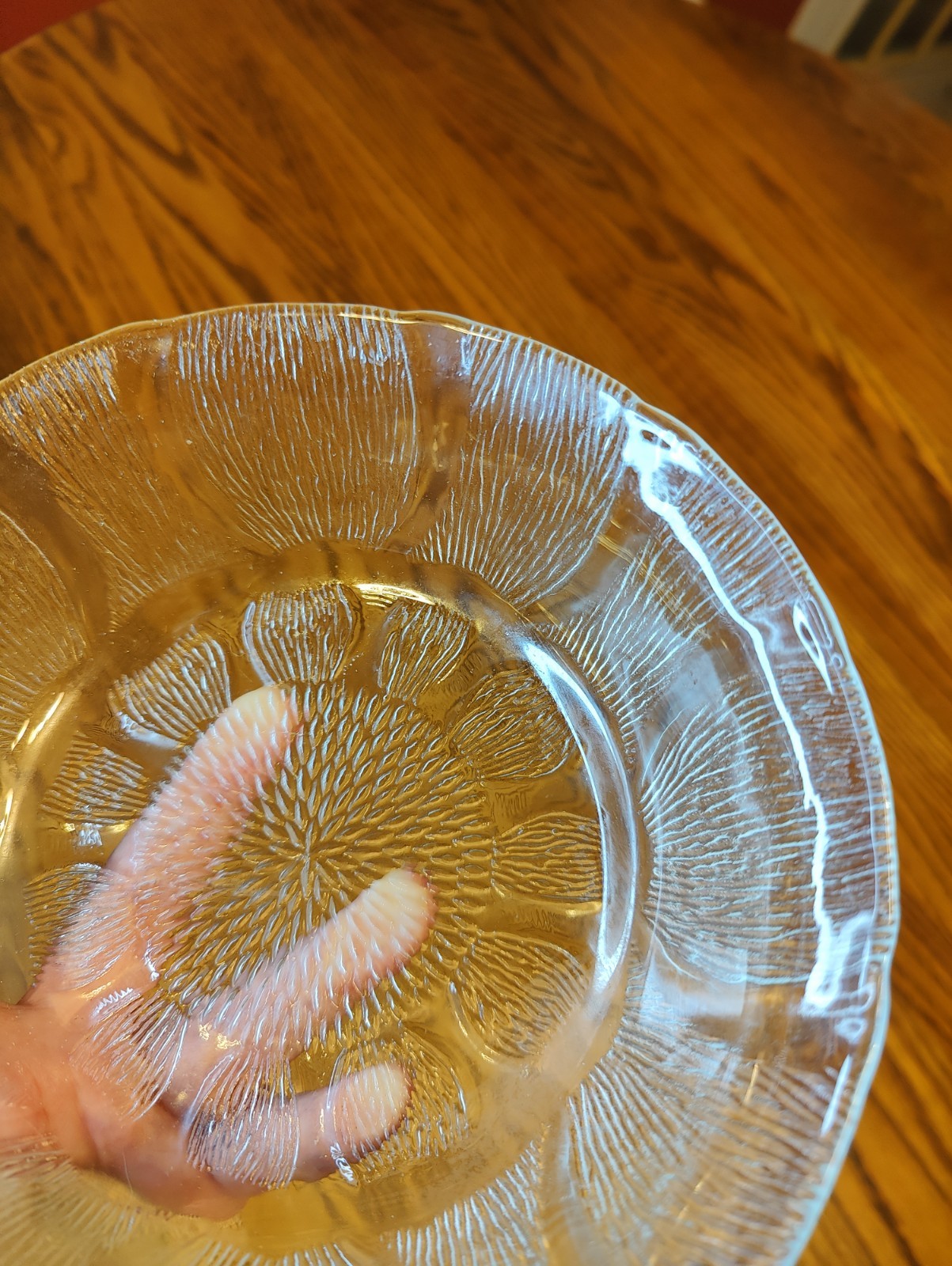 KIG Indonesia Arcoroc Sunflower Art Nouveau MCM Style Clear Glass Bowls Lot Of 7