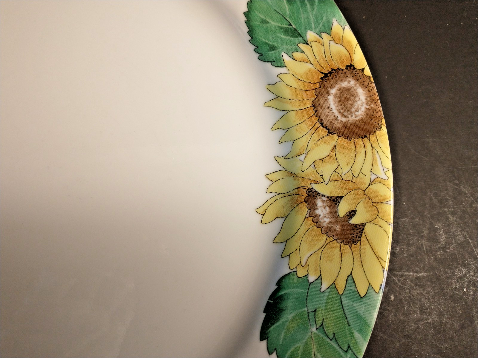 Corelle Sunsations Dinner Plate 10.25″ wide