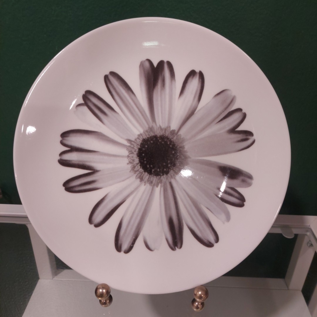 4 Wedgwood NIGHT & DAY BLOOMERS Black White Daisy Rose Salad Plates 8 1/8 Inches