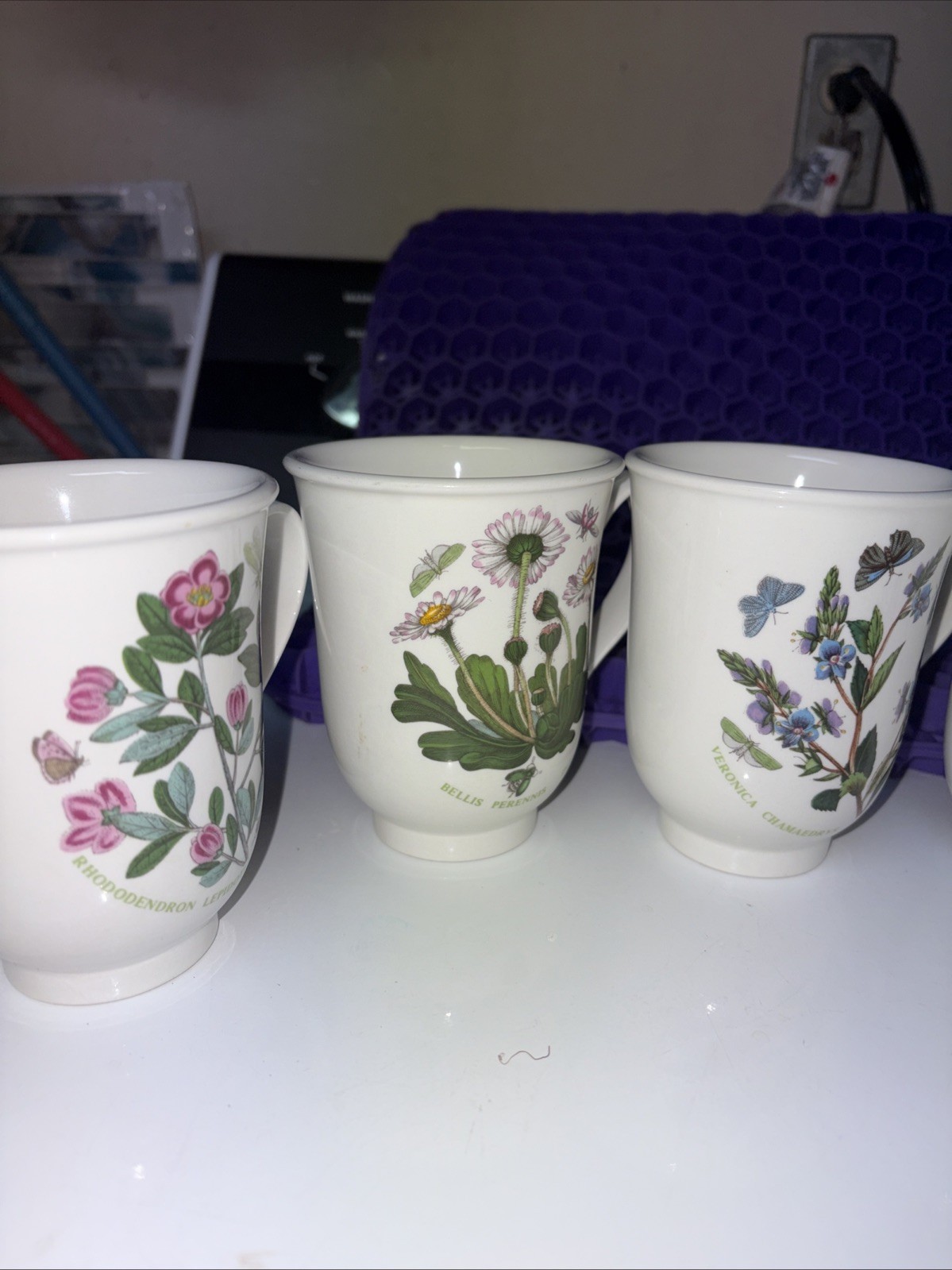 portmeirion botanic garden Mugs (5)