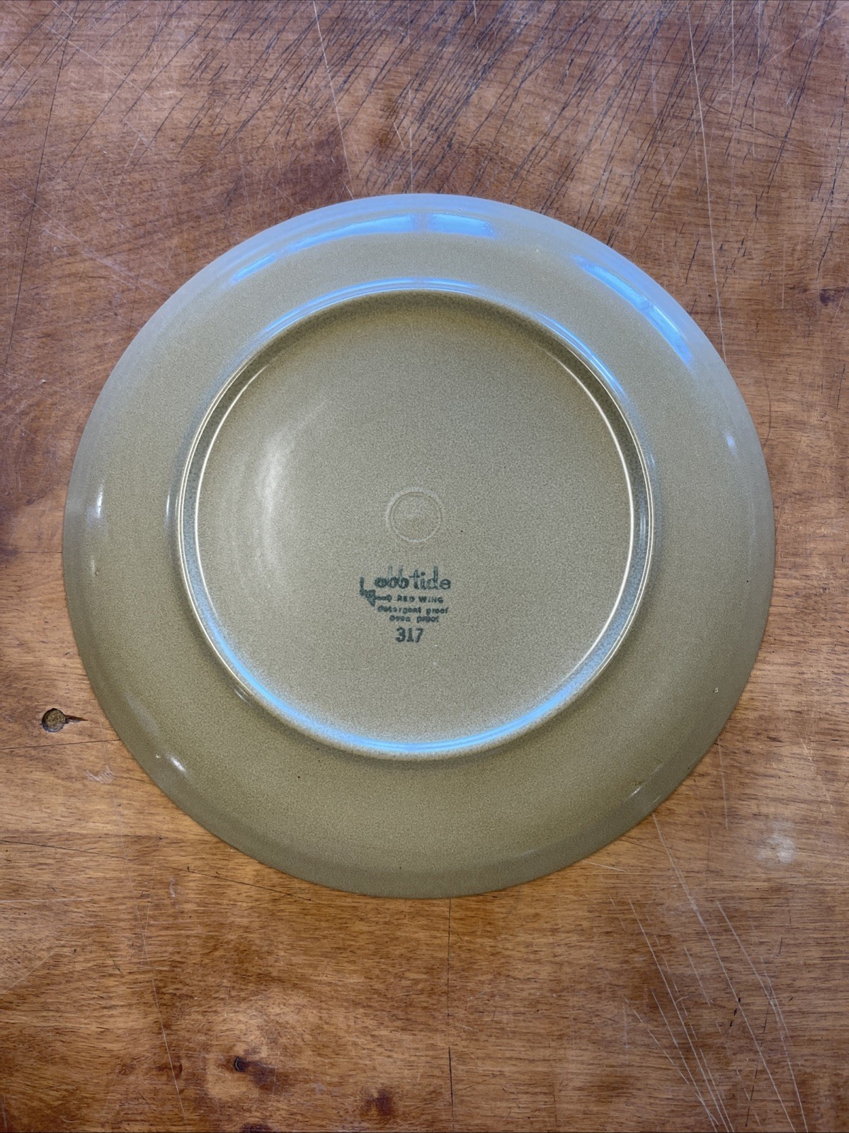 Red Wing MN USA EBB TIDE Dinner Plate 10 1/4 in 1 ea 11 available
