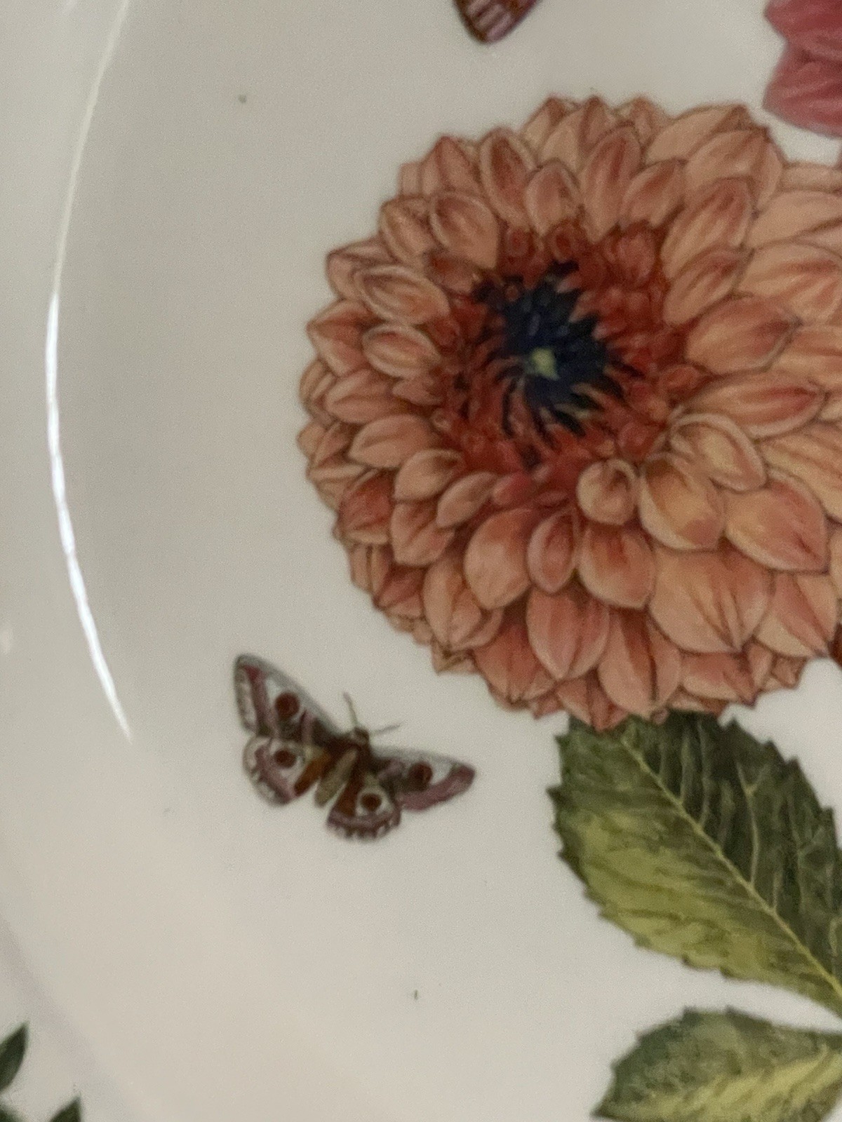 PORTMEIRION BOTANIC GARDEN FINE EARTHENWARE “DAHLIA “ DINNER PLATE 10,5”