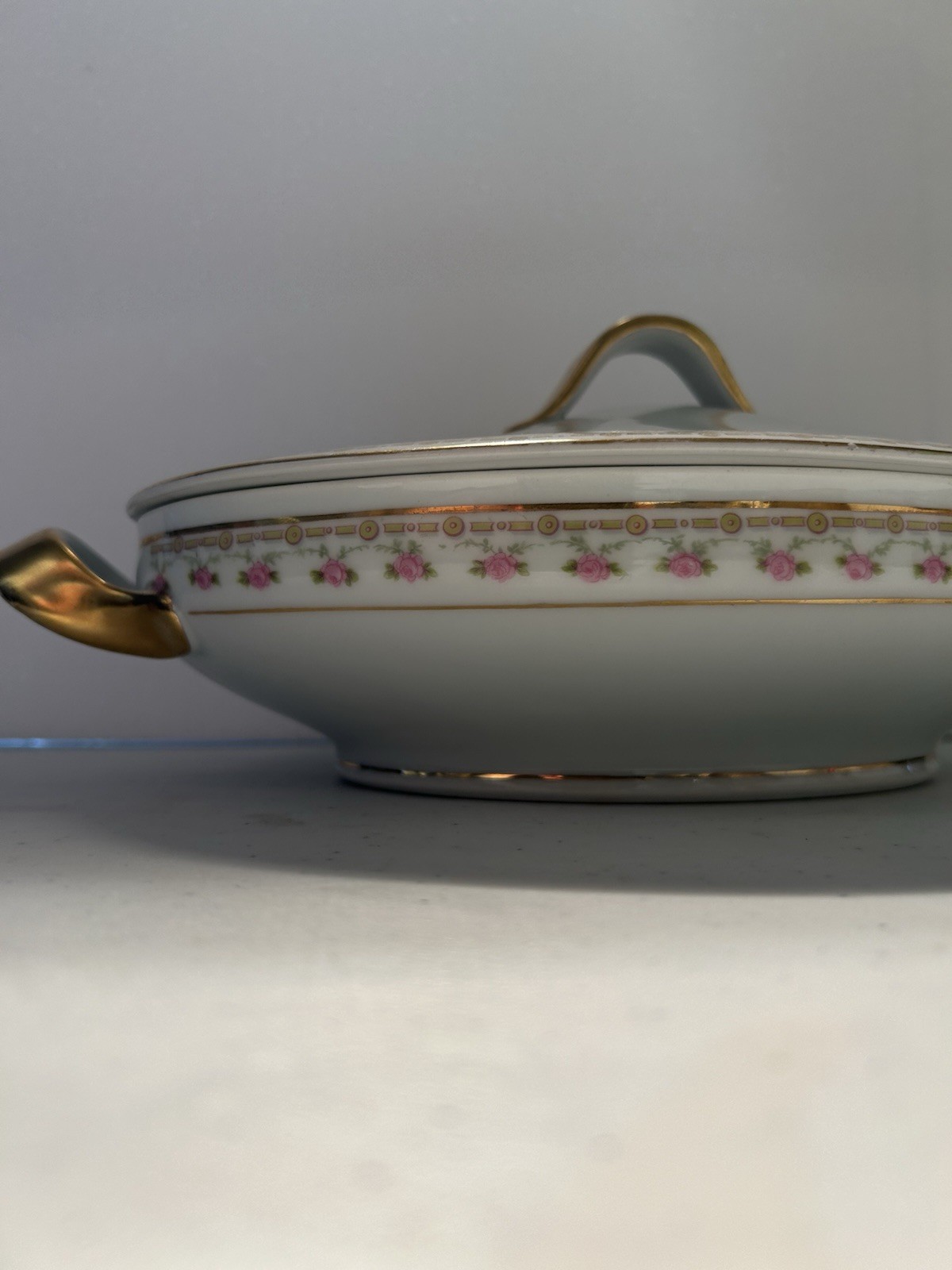 Elegant Vintage Pirkenhammer Czechoslovakia Pink Rose Gold Tureen – Oval Covered