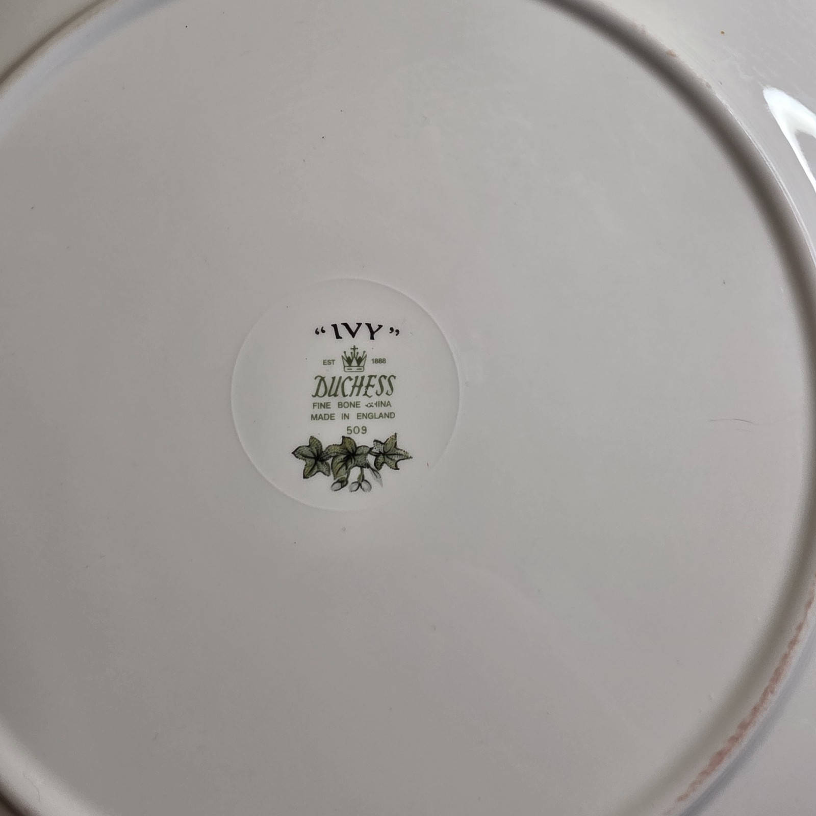 Duchess Ivy Platter Fine Bone China 509 Made In England