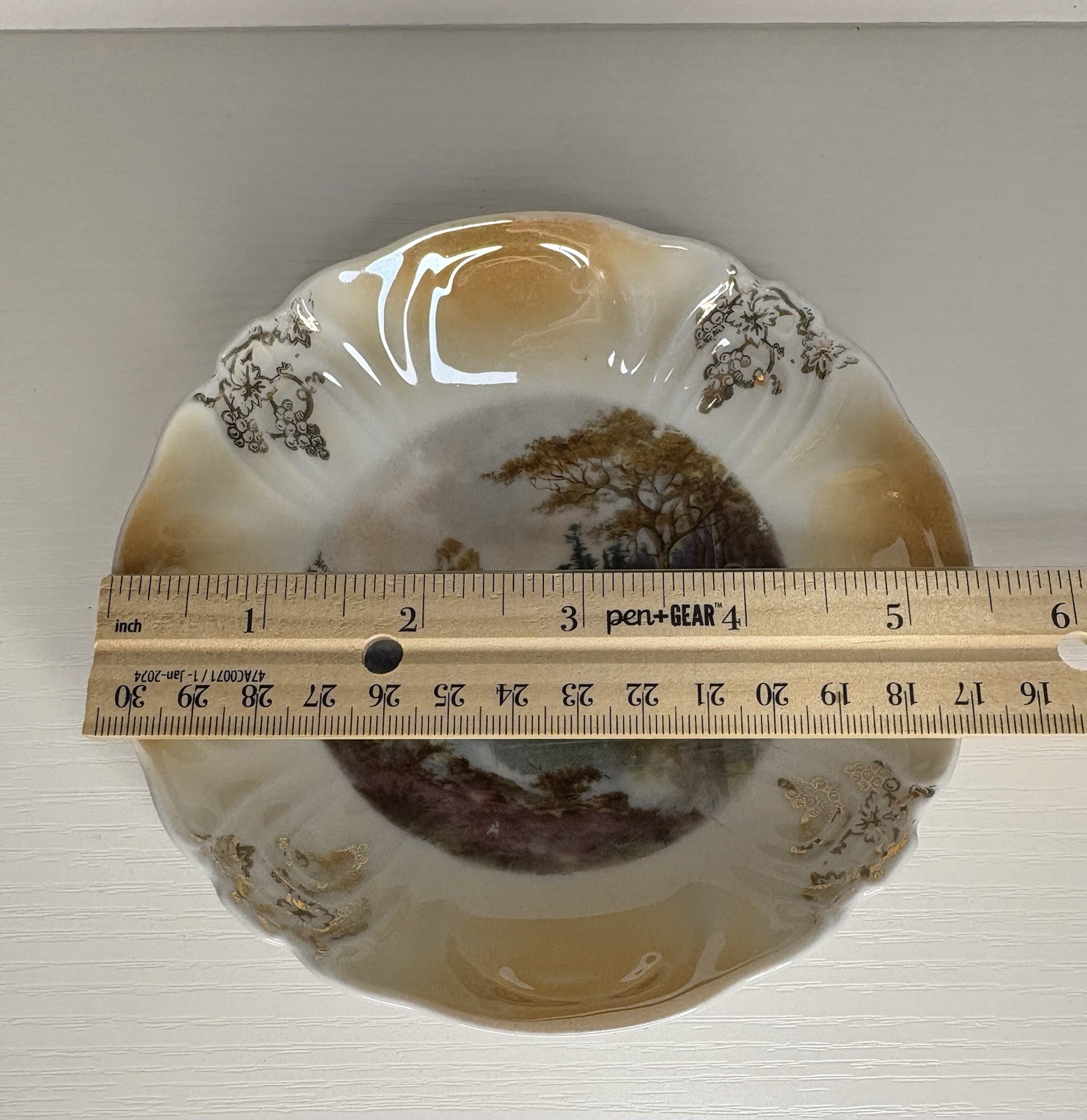 Vintage Porcelain Plate Set Country Riverbank Trees Scene Gold Grape Vine Border