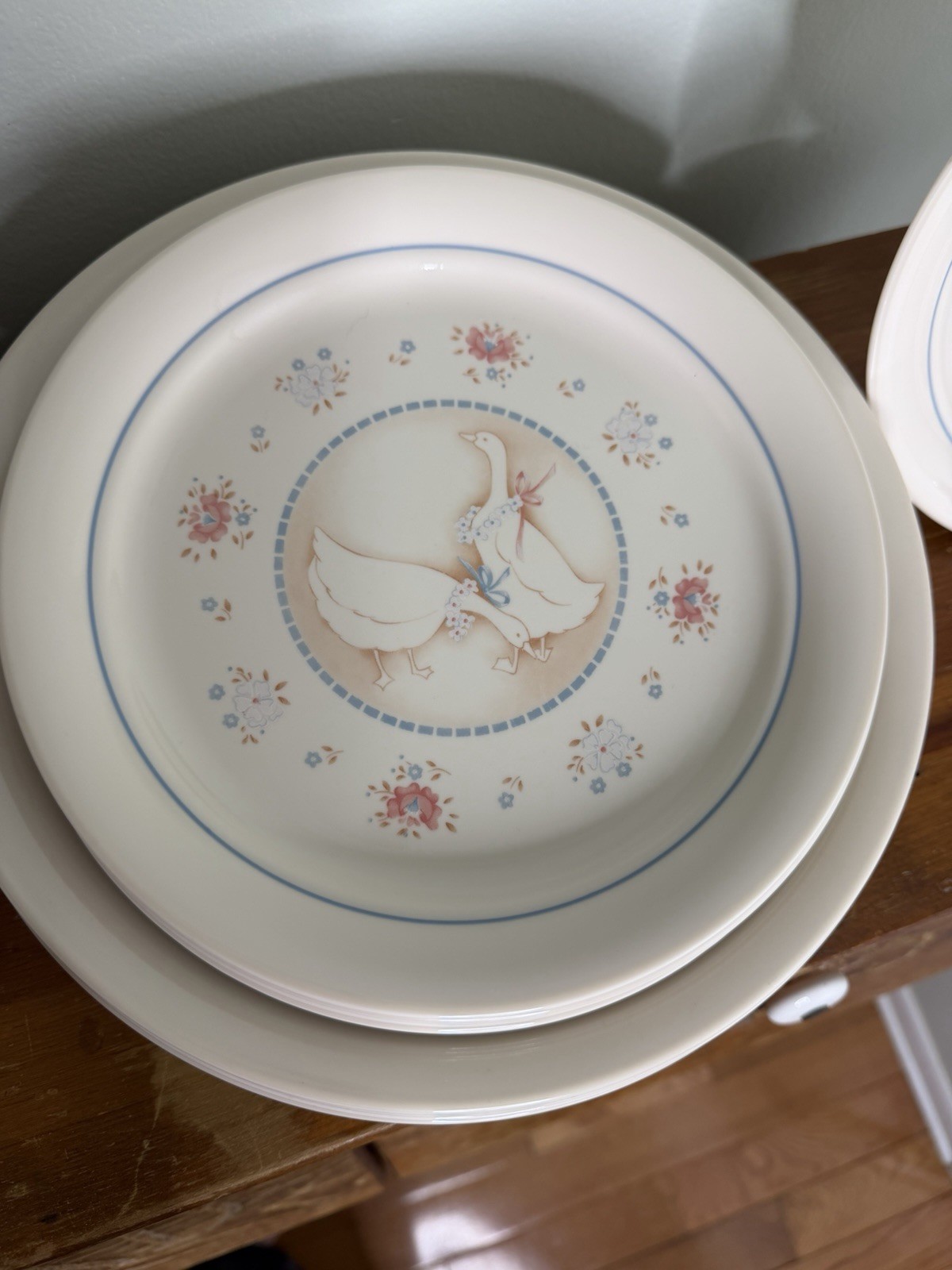 Corelle Country Promenade Dinner And Salad Plates