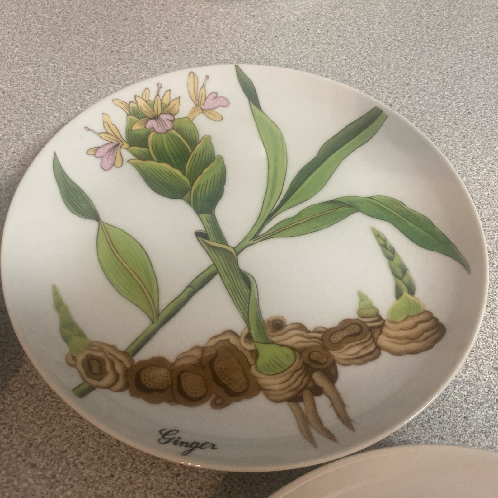 Vintage Set of 6 Neiman Marcus Horchow Botanical Herb Plates 7 3/8” Japan