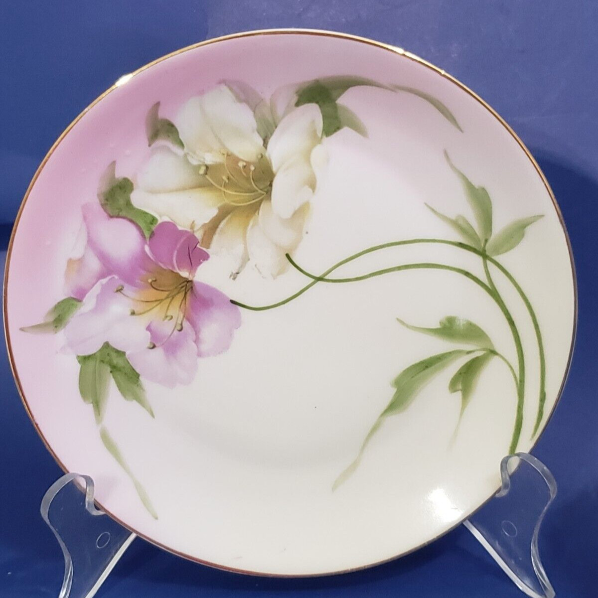 Two Antique Vintage Bavarian Plates Z.S. & Co Hand Painted Porcelain 1880- 1918