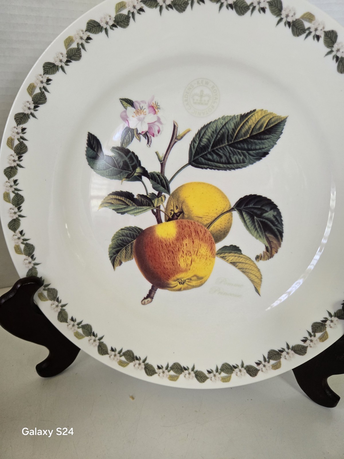 GARDEN KEW ROYAL BOTANIC Fine China Pomme Princess Dinner Plate 10 1/2″
