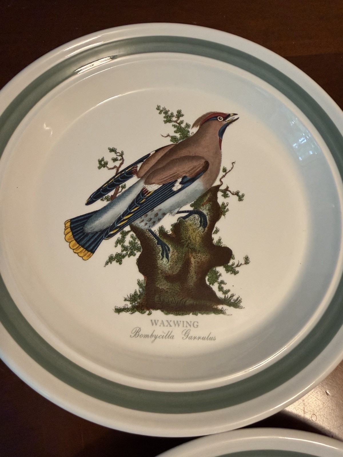 Portmeirion Birds of Britain Ceramic Salad Plates Green Rim 8 in Set of 6