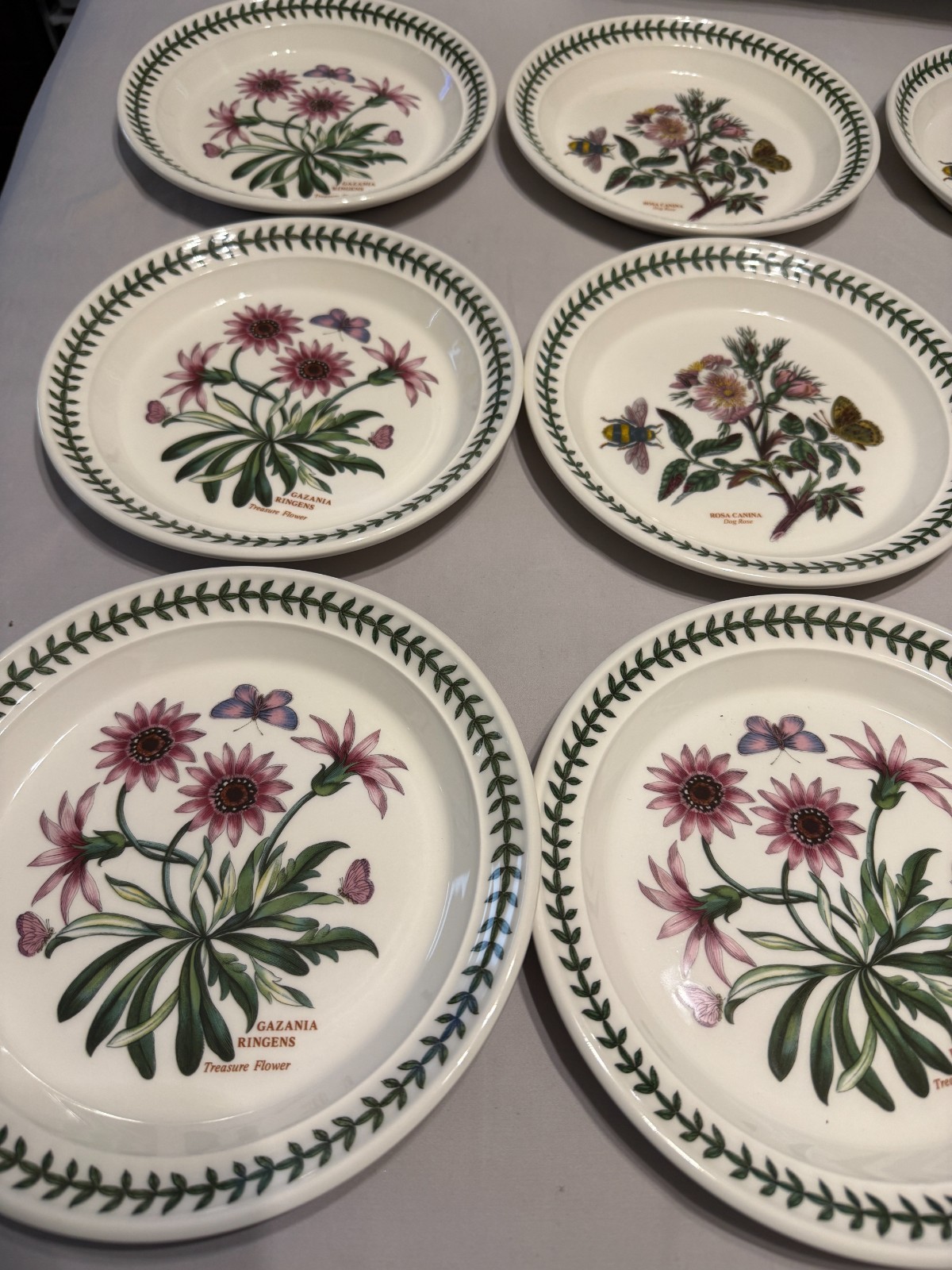 Portmeirion Botanic Garden Salad Plate Lunch England