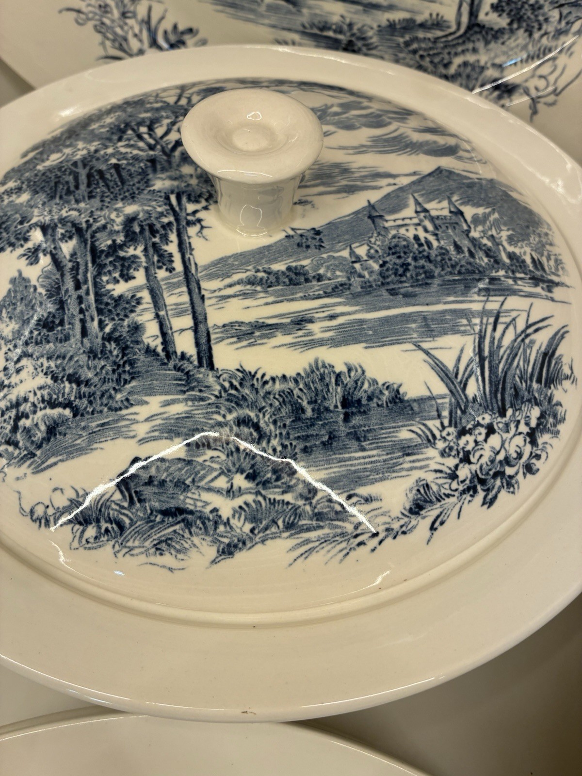 Perfect! ENOCH Wedgwood Countryside Blue Transferware 34 Pc Dinnerware Set for 4