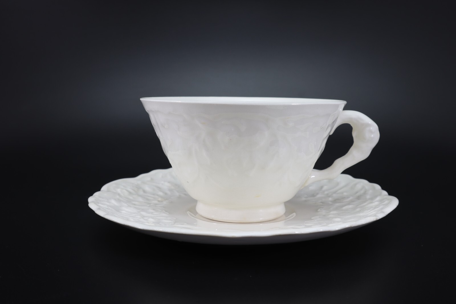 Pope Gosser Rose Point CUP & SAUCER Set of 2 White w Raised Roses Vintage USA c