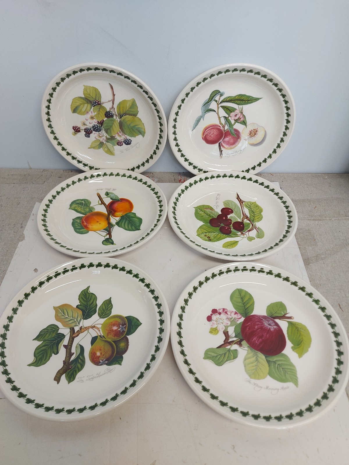 Portmeirion Pomona set of 6 assorted dinner plates—–4701—–