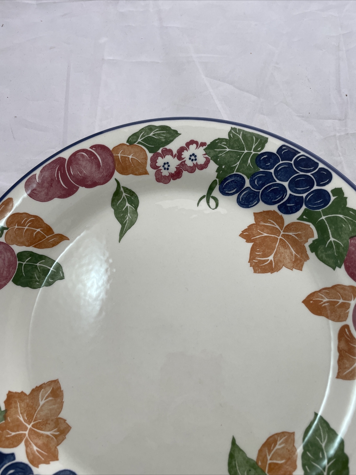 STAFFORDSHIRE TABLEWARE CHIANTI DINNER PLATE SET OF 2 – ENGLAND 8 1/2″