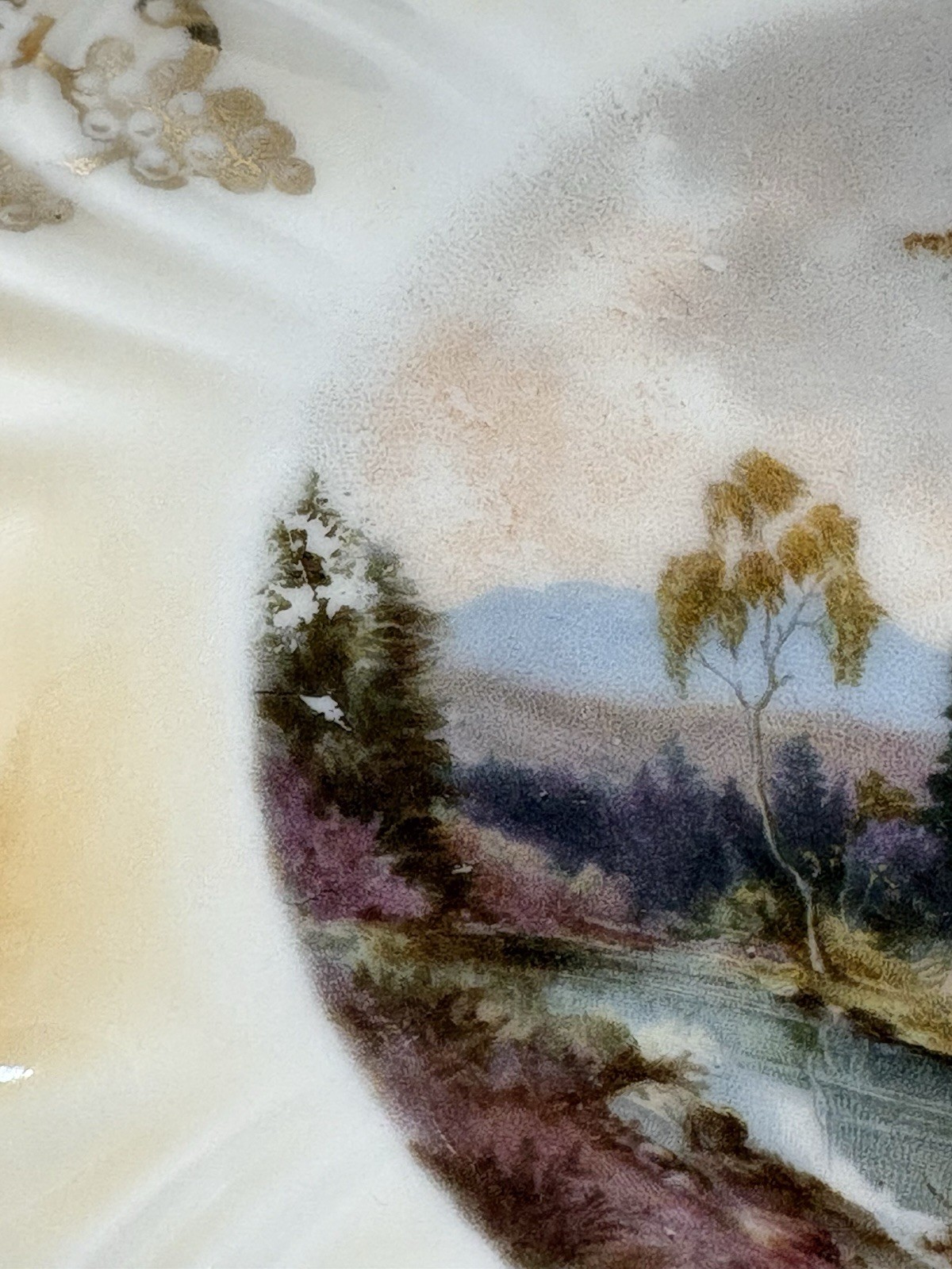 Vintage Porcelain Plate Set Country Riverbank Trees Scene Gold Grape Vine Border