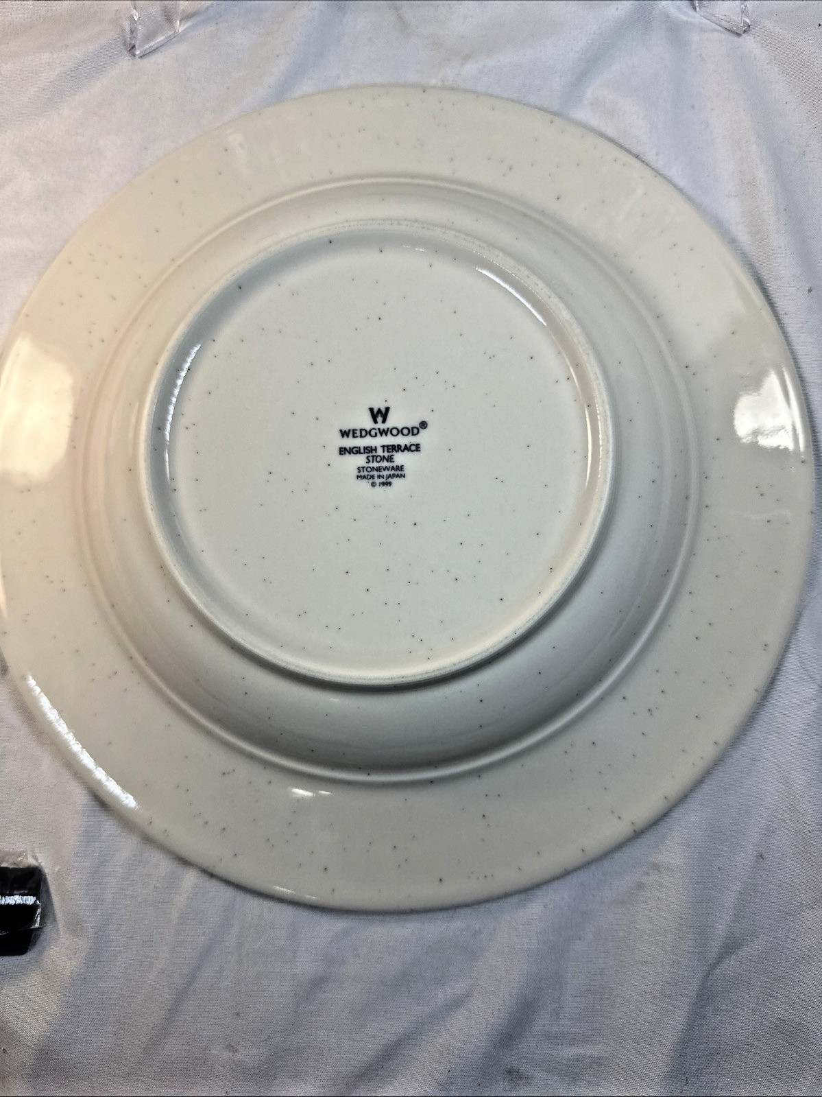 VTG Pair of WEDGWOOD Pasta/Soup Bowl English Terrace Stone Japan 1999 10.25” EVC