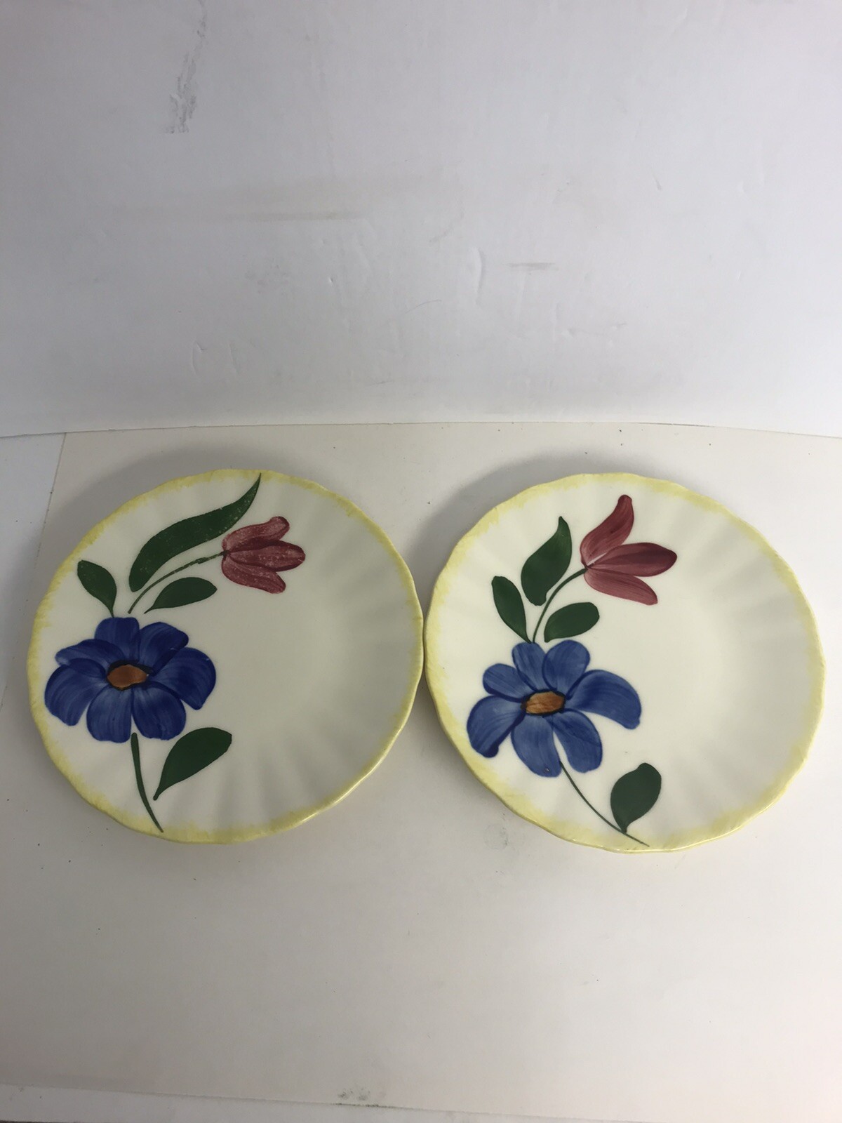 Blue Ridge Southern Pottery Bread & Butter Plates Sun Bouquet Set Of 2 6”