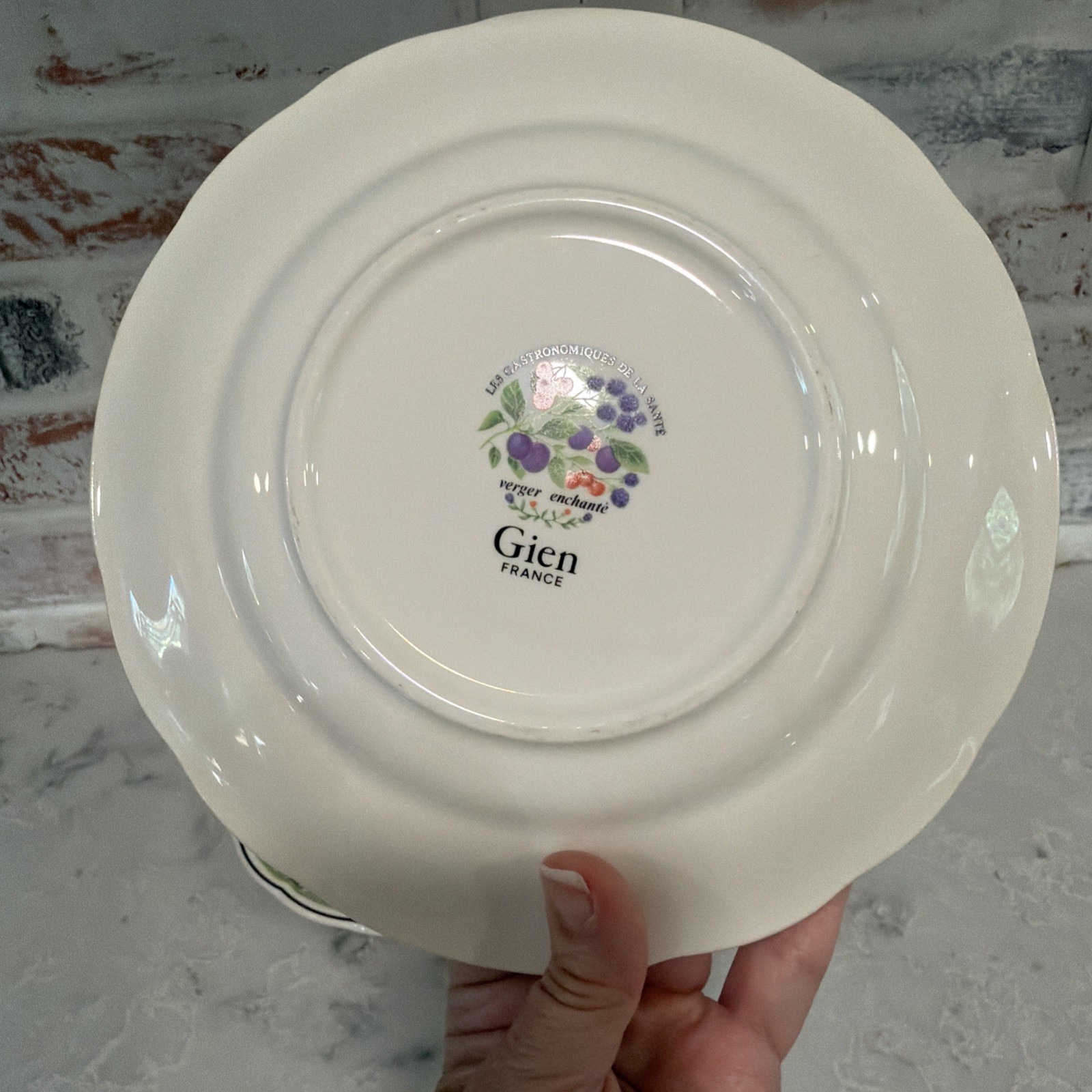 6 VTG Gien China France Les Gastronomiques de la Sante Salad Dessert Plate Set