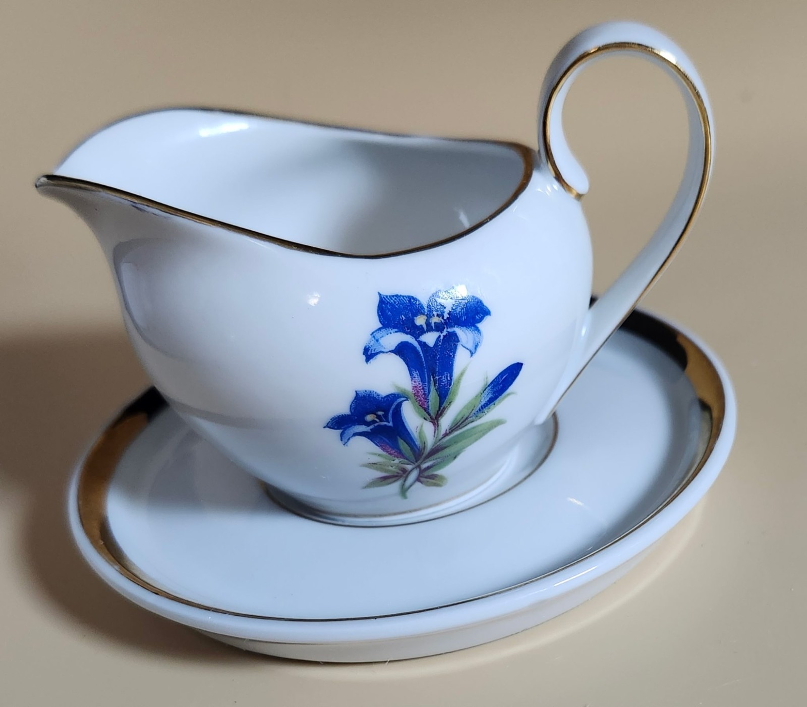 Hutschenreuther Creamer And Saucer Set From Germany (9061)
