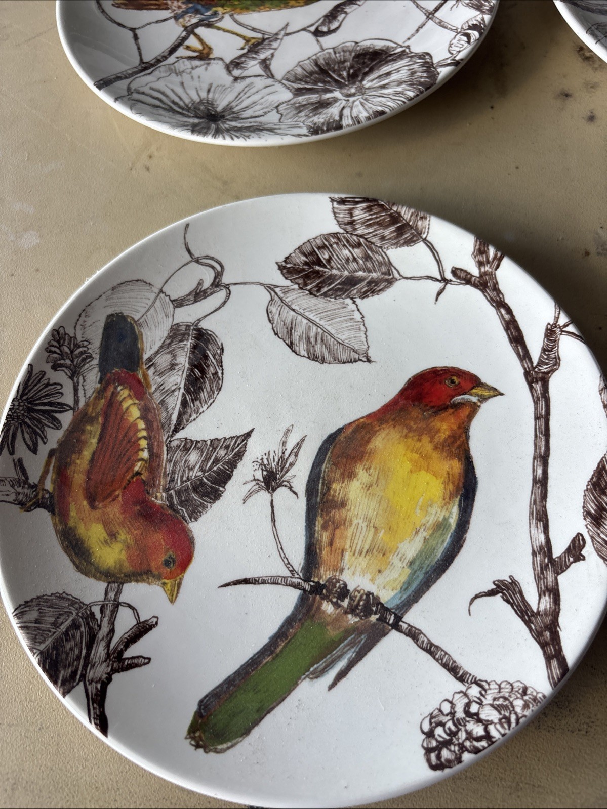 William And Sonoma Botanical Birds 2012 6 Luncheon /dessert Plates