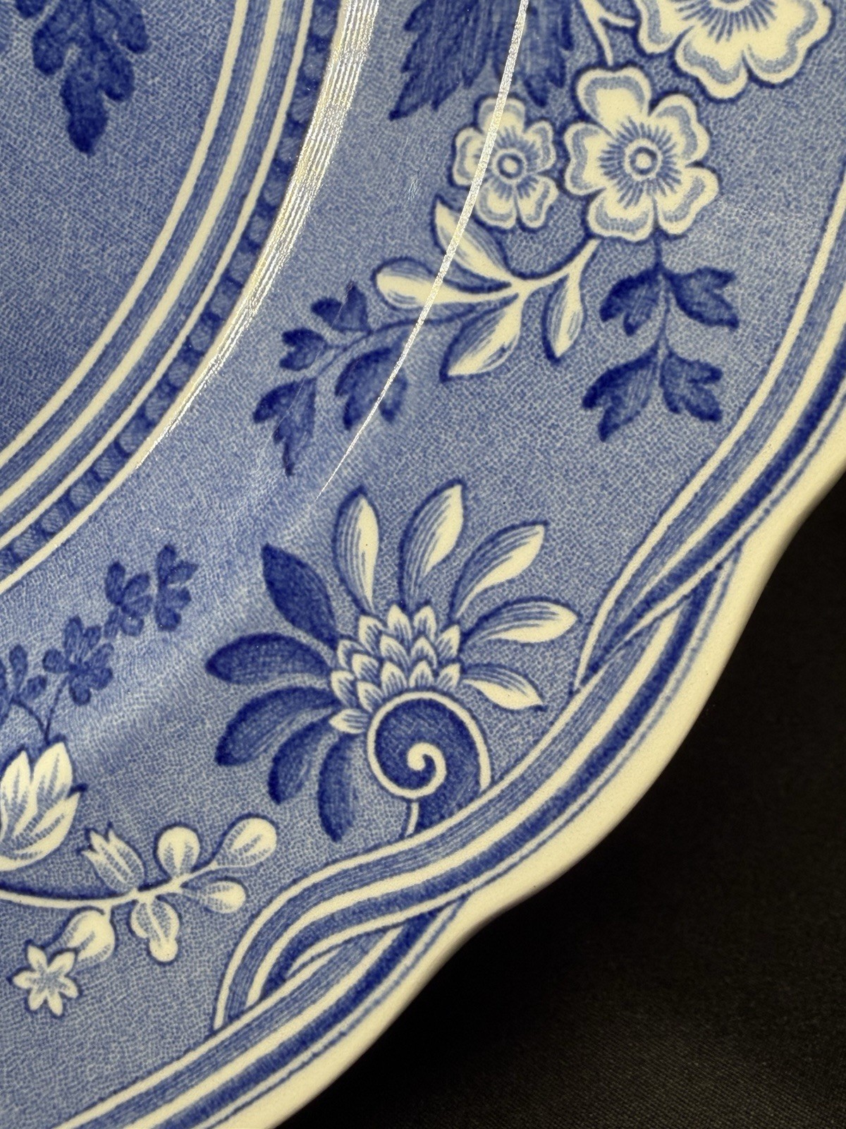 The Spode Blue Room Collection “Botanical” Plate Made In England 10.5″
