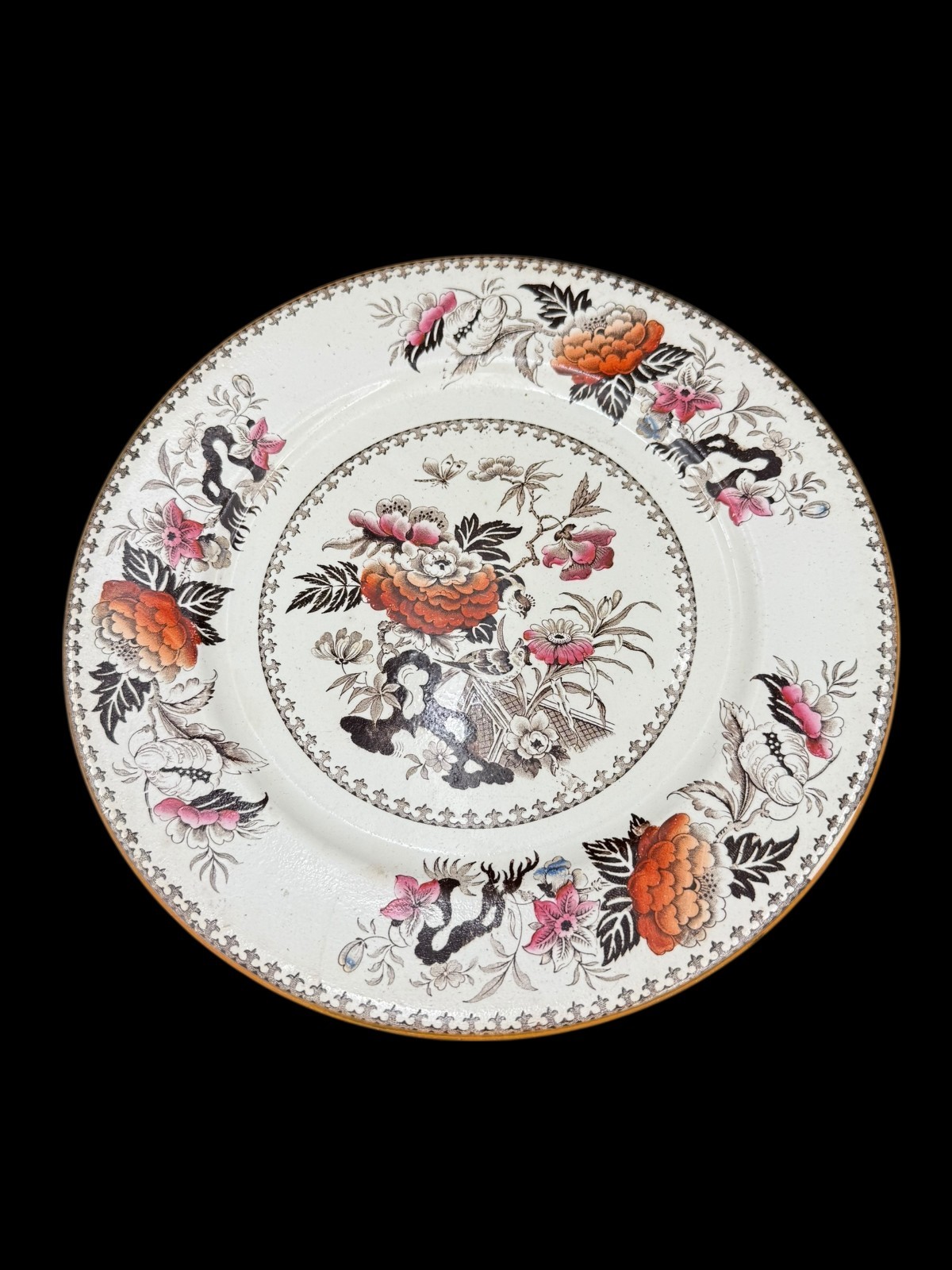 Wedgwood Bullfinch Brown Multicolor (Brown Trim) Dinner Plate 10 3/8″ Lot of 5